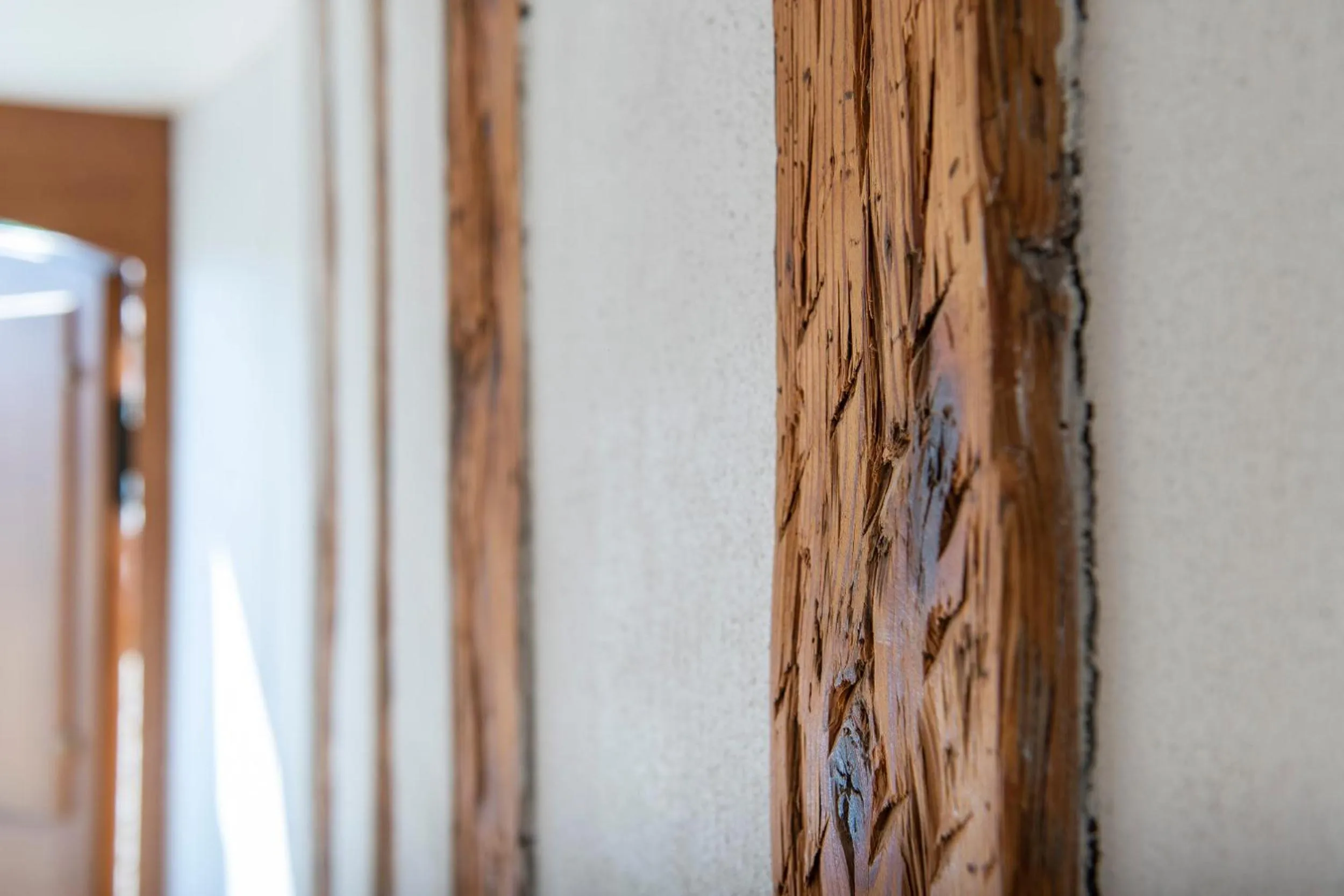 Decorative detail in Le Sauvage