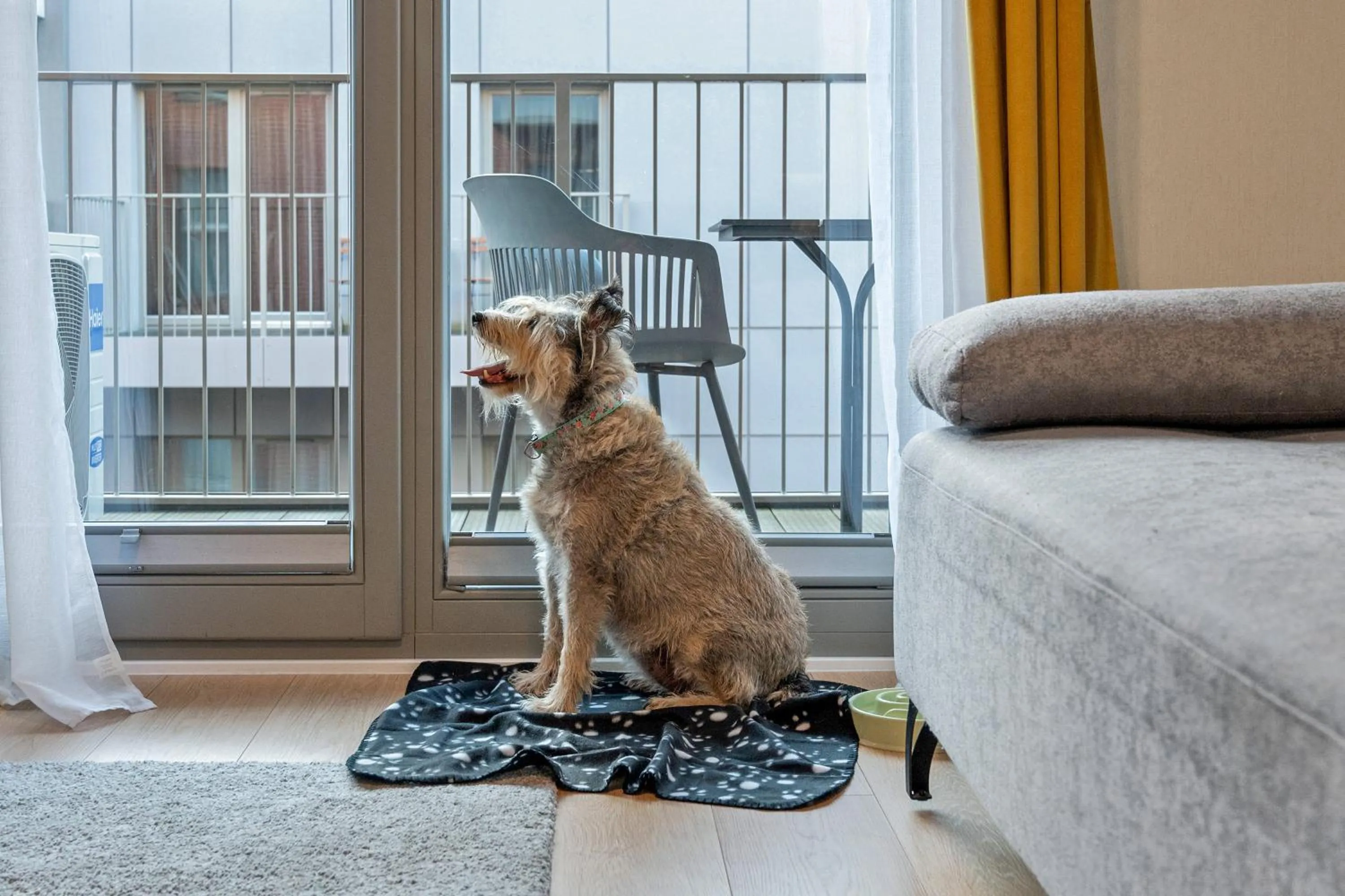 Pets in GRANO APARTMENTS Gdańsk Residence SPA & Wellness - GRANO APARTMENTS Gdańsk Old Town SPA & Wellness