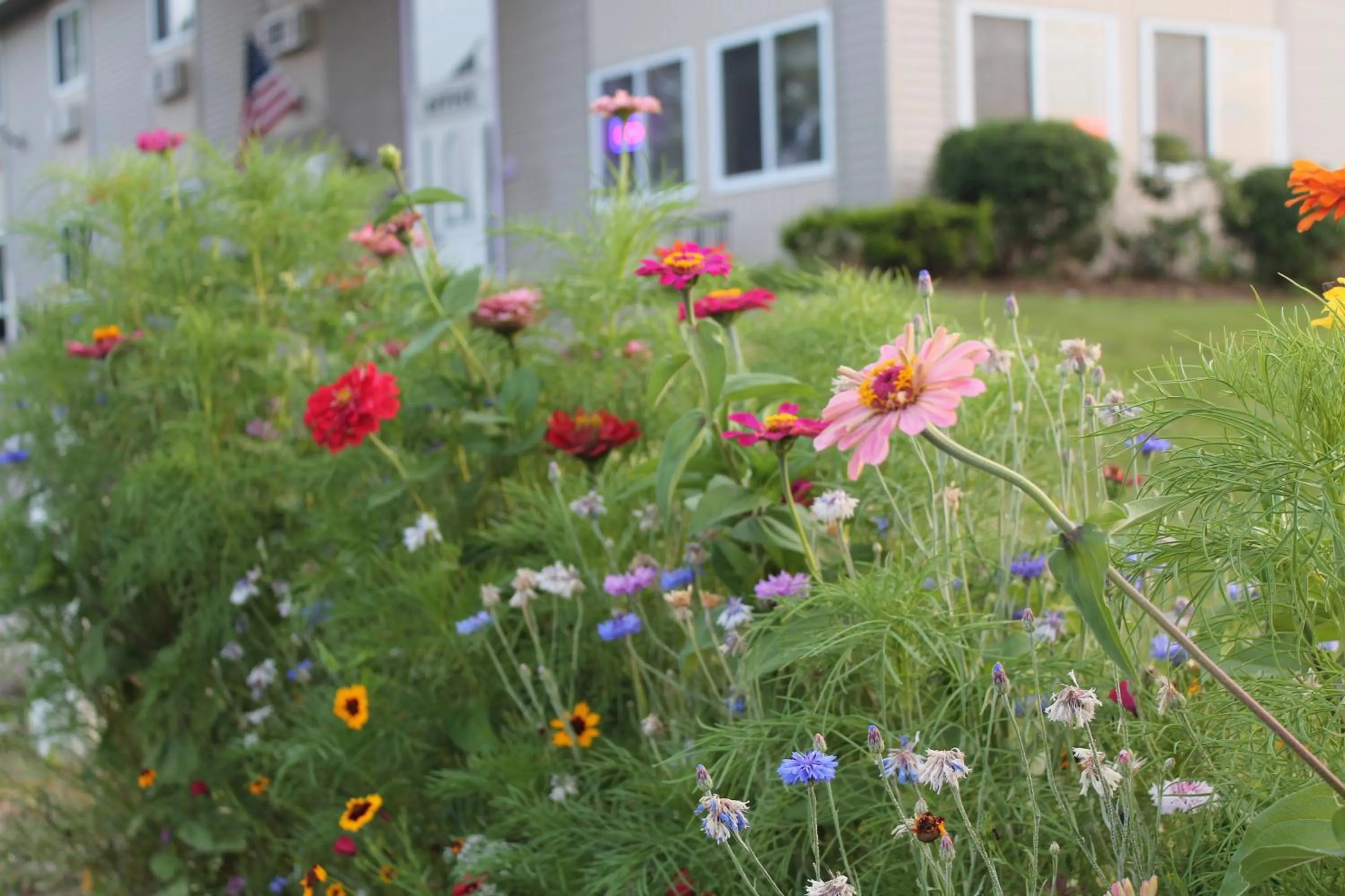 Area and facilities in American Host Inn