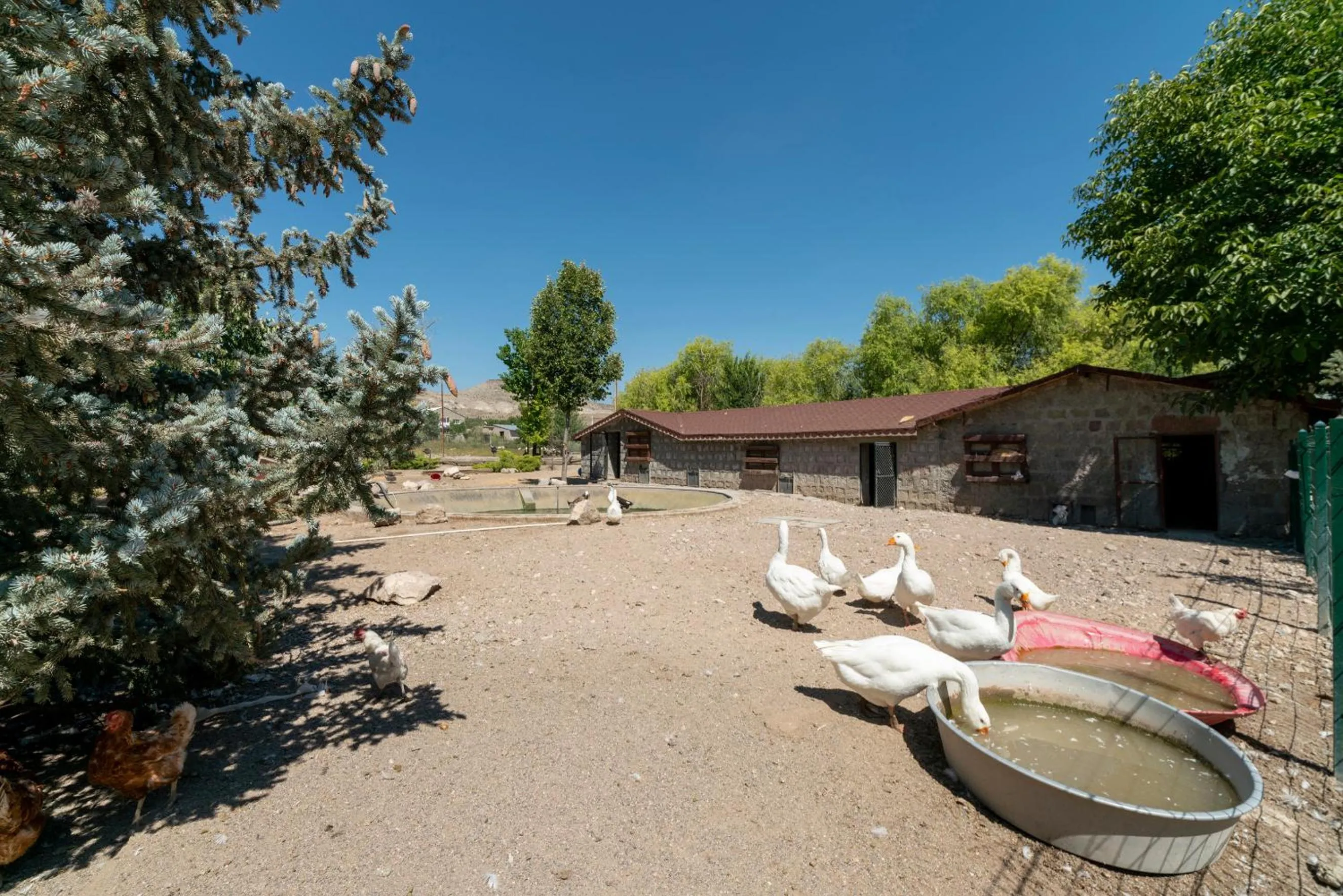 Swimming pool in SUNOLUS VINEYARDHOUSe