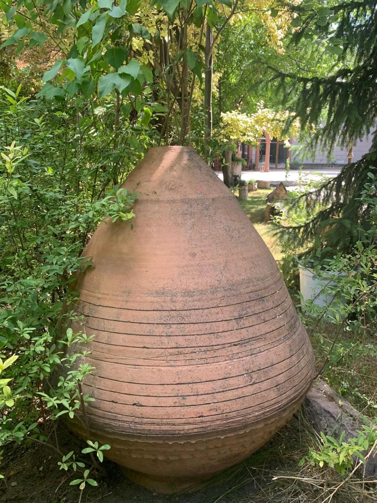 Natural landscape in SUNOLUS VINEYARDHOUSe