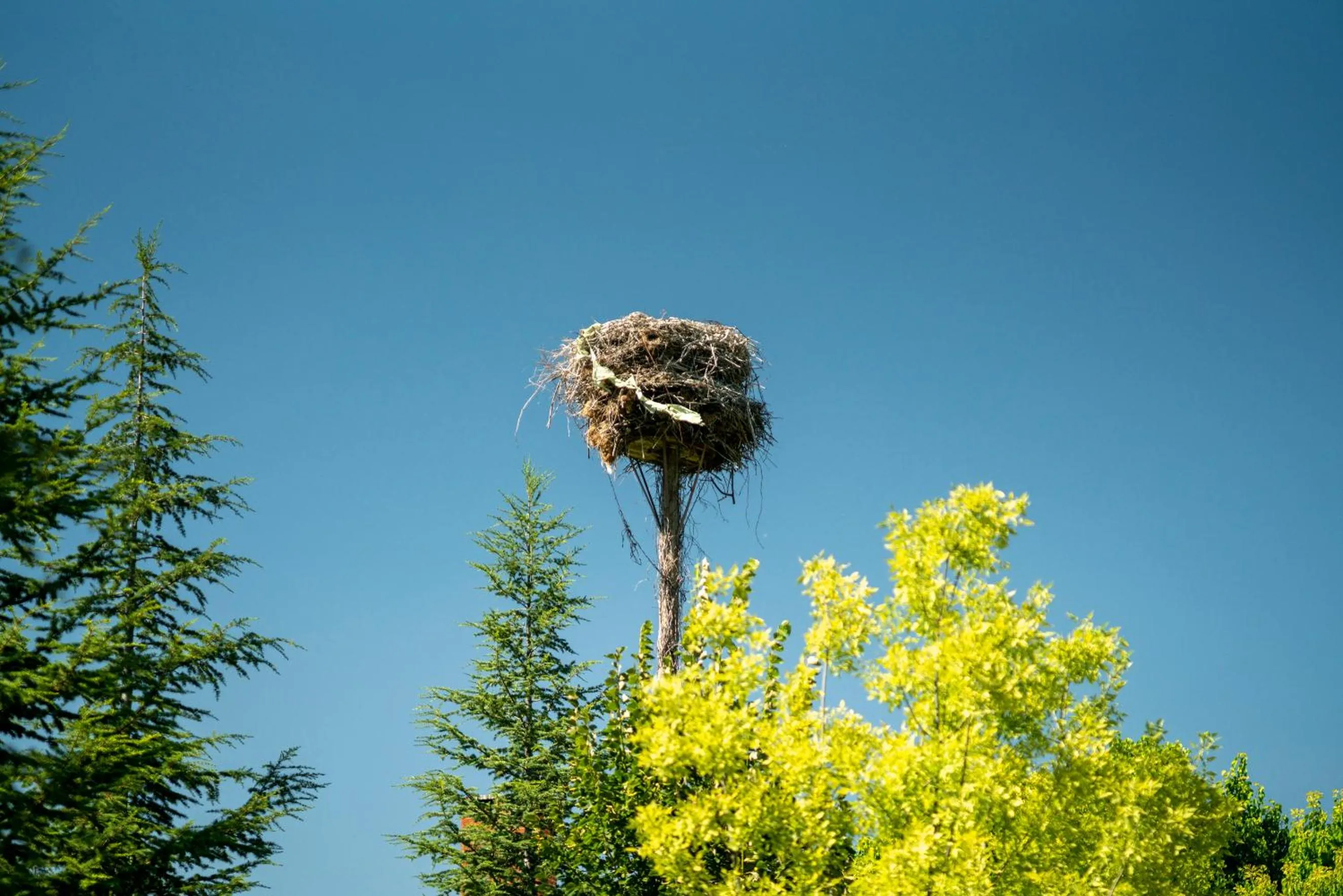 Animals in SUNOLUS VINEYARDHOUSe