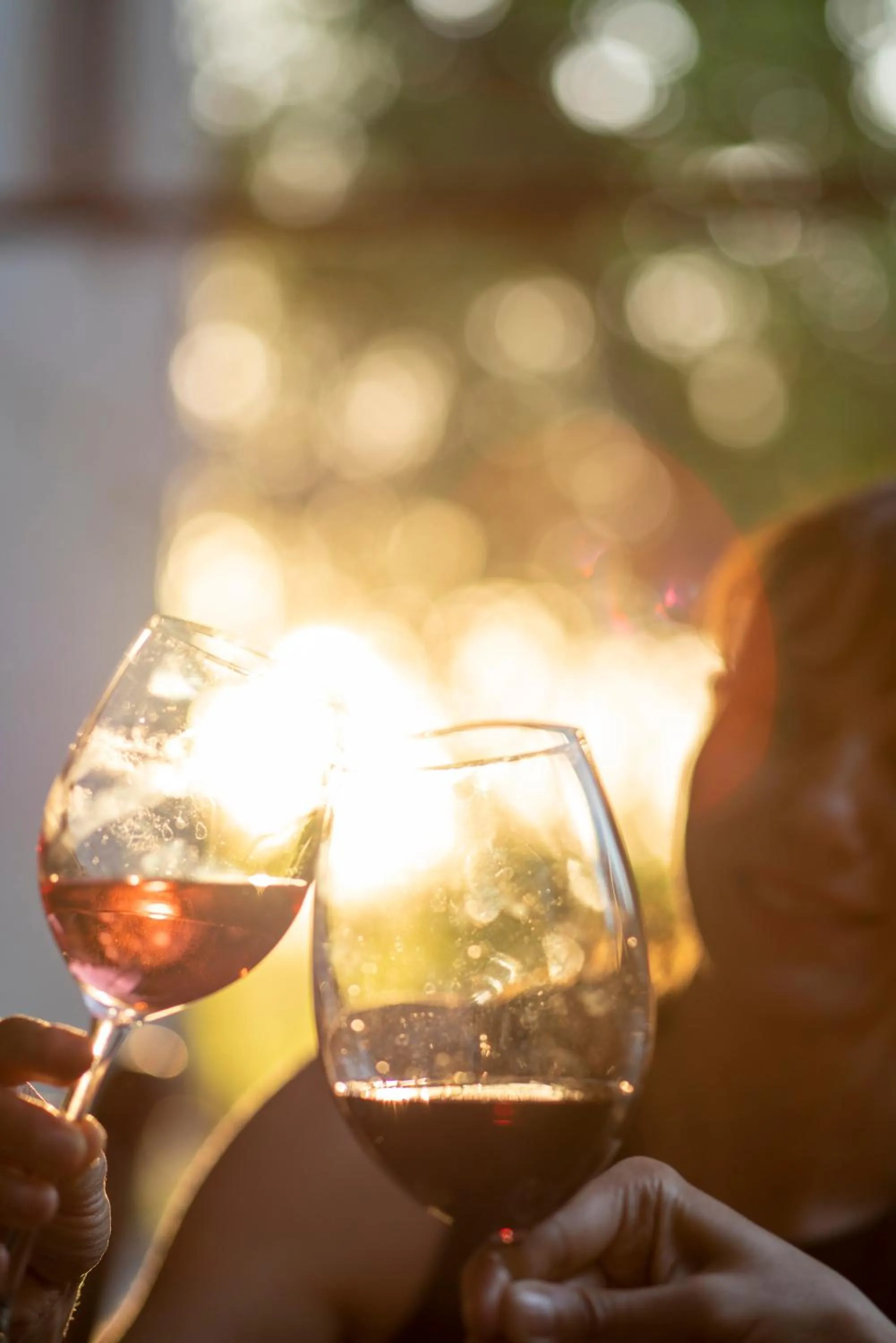 Food and drinks in SUNOLUS VINEYARDHOUSe