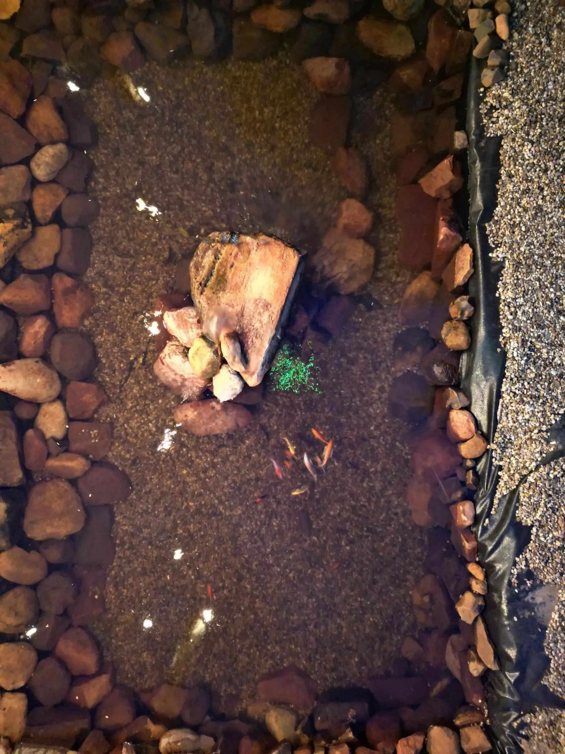 Lake view in Biomas Hotel