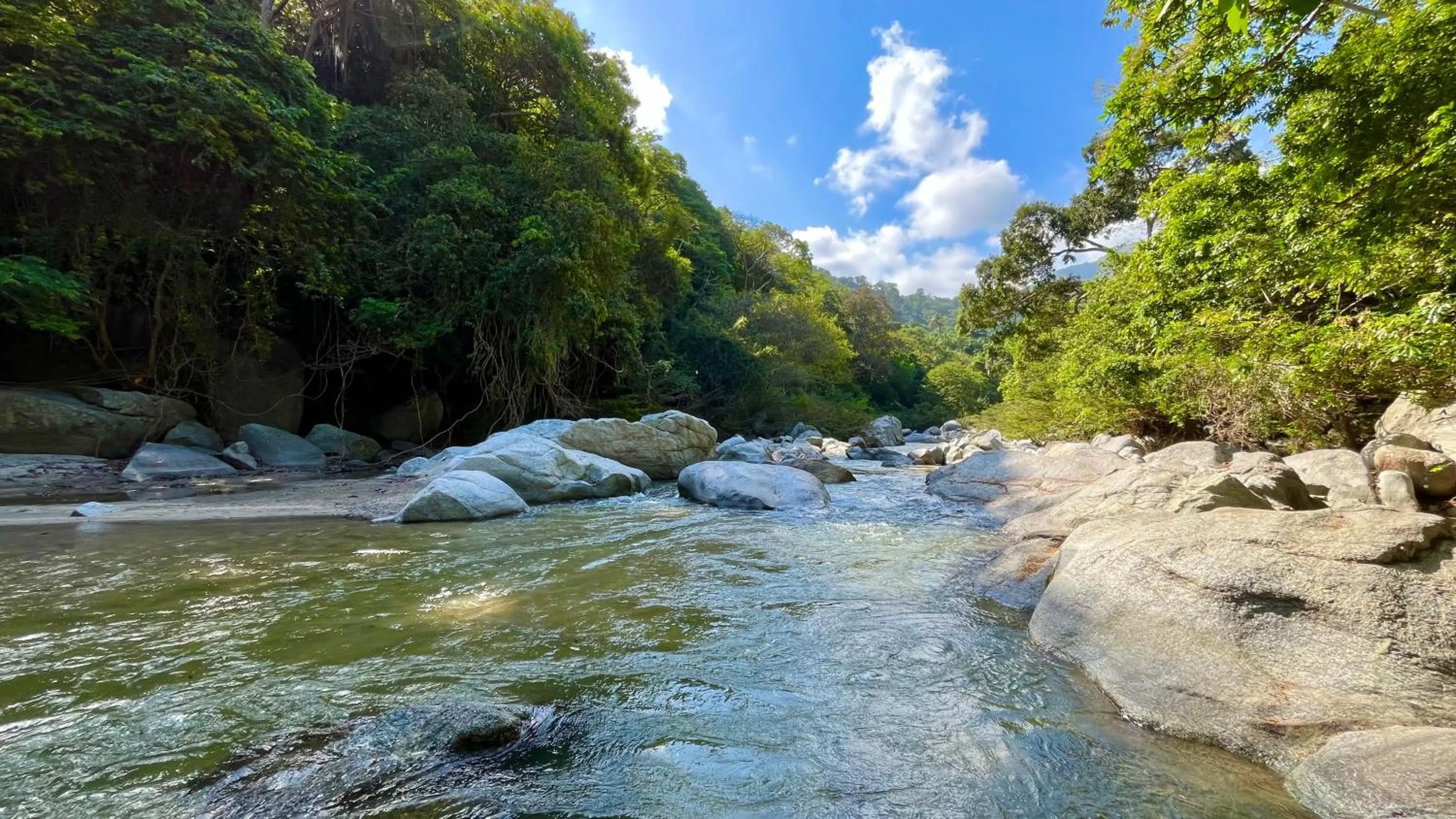 Day in Senda Koguiwa