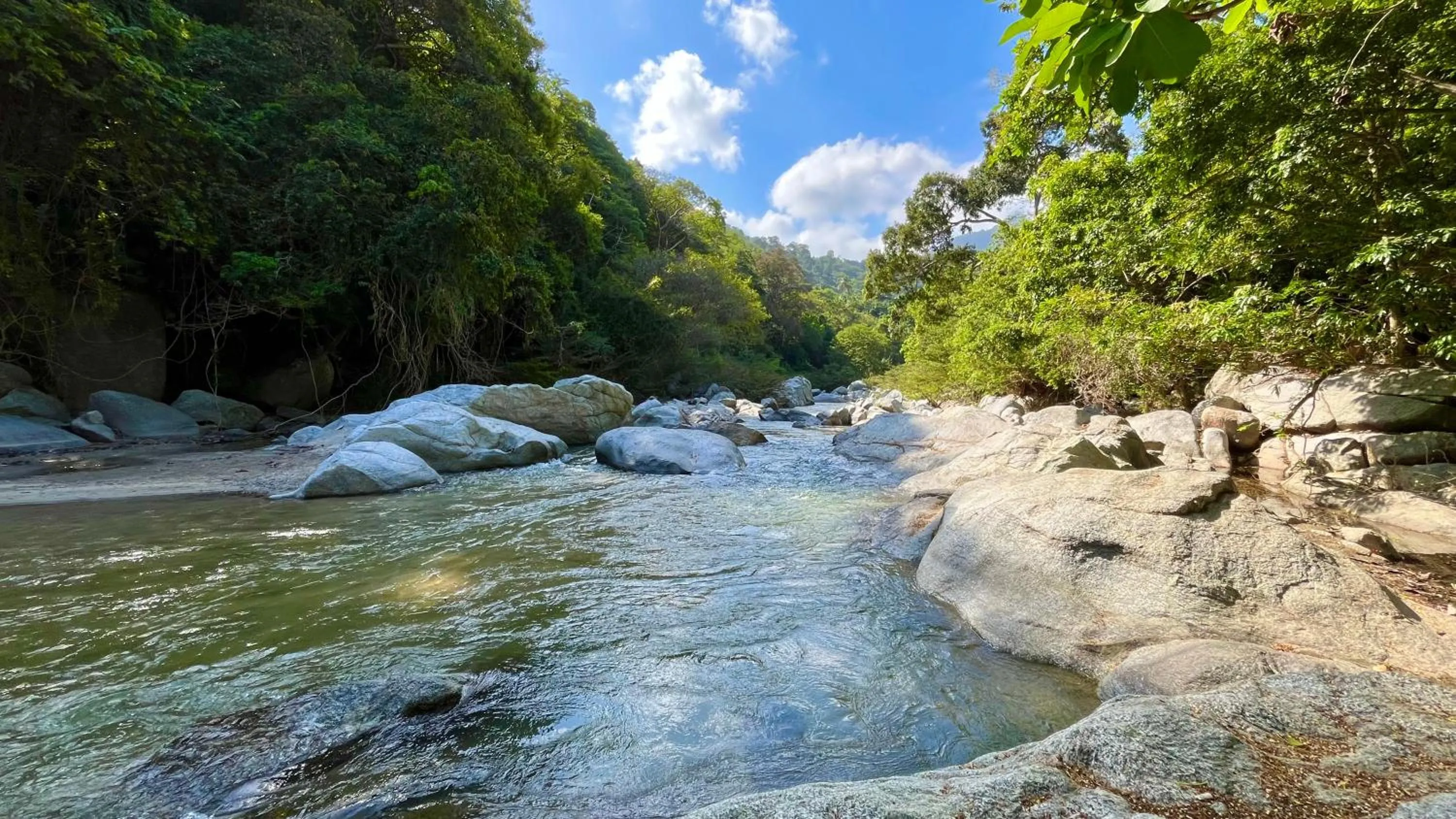 Day in Senda Koguiwa