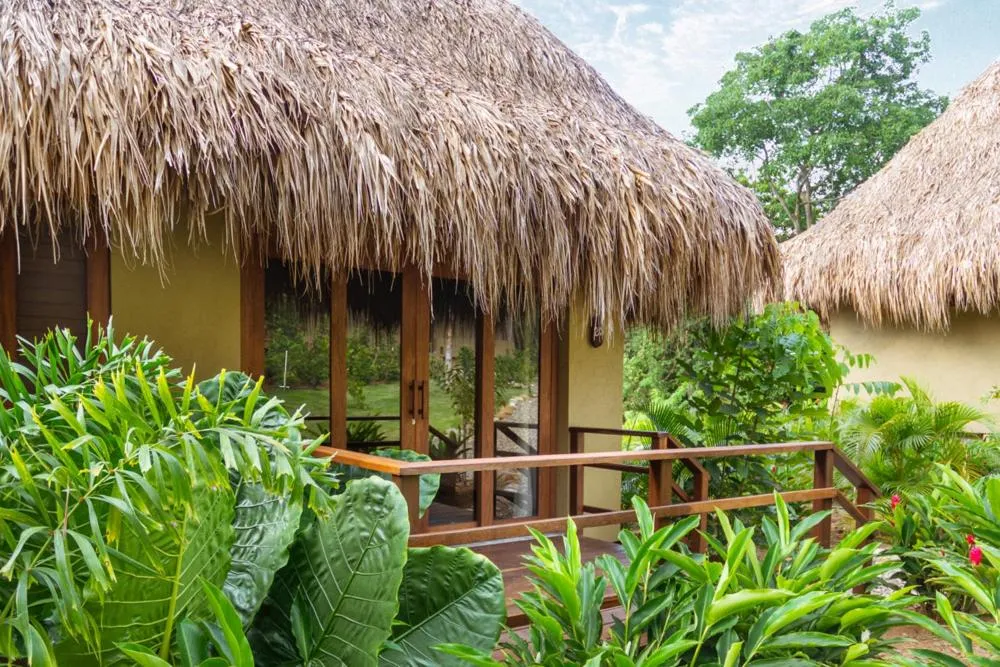 Day in Senda Koguiwa