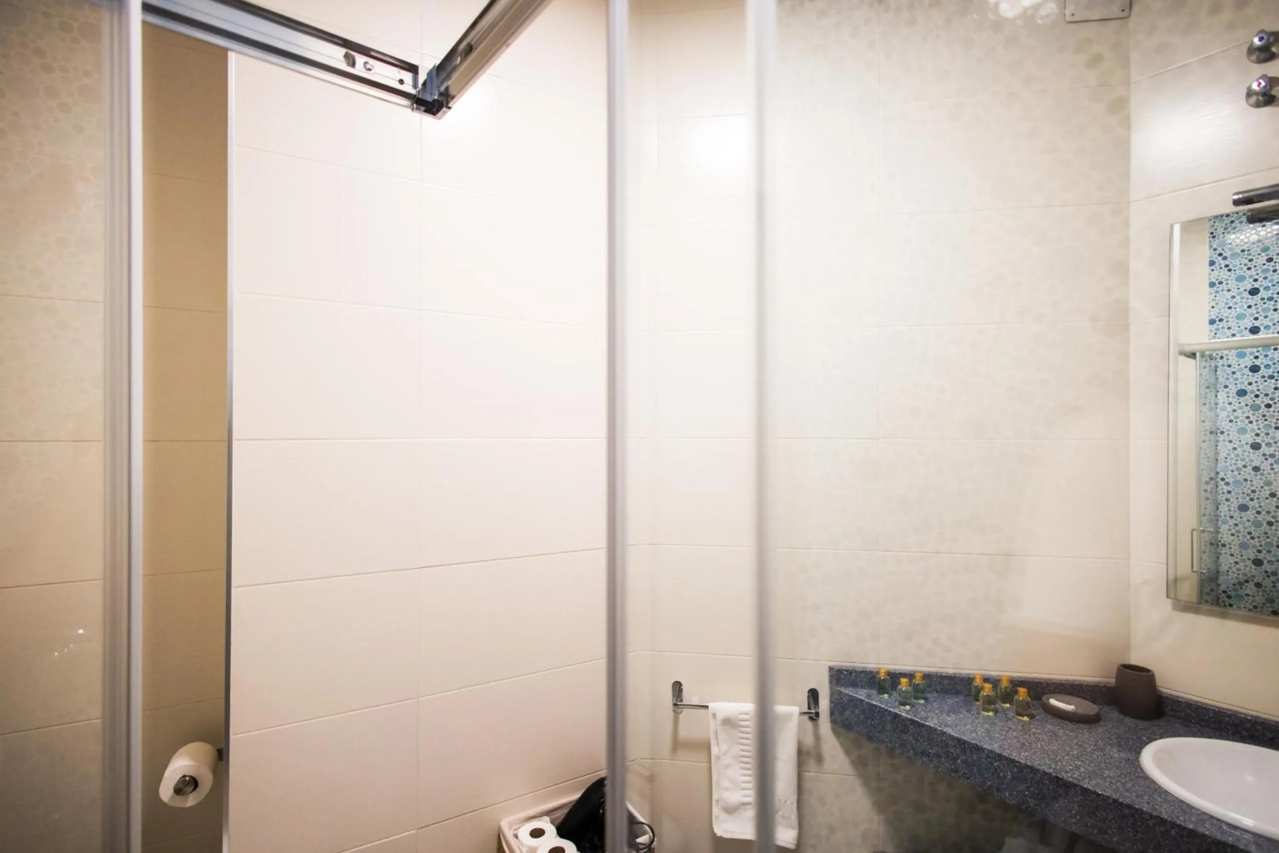 Bathroom in Apartamentos Reyes Católicos