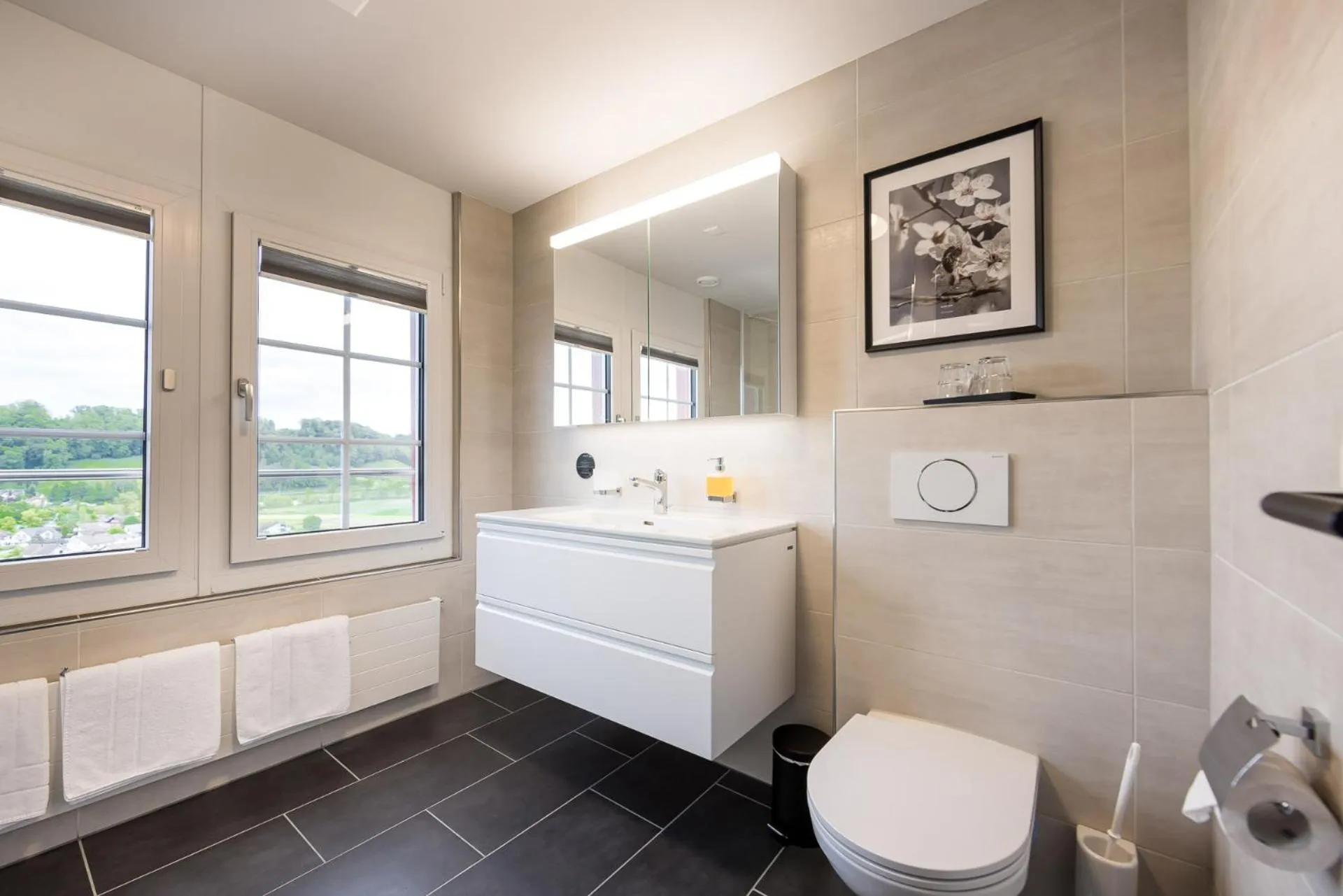 Toilet in Klein Rigi