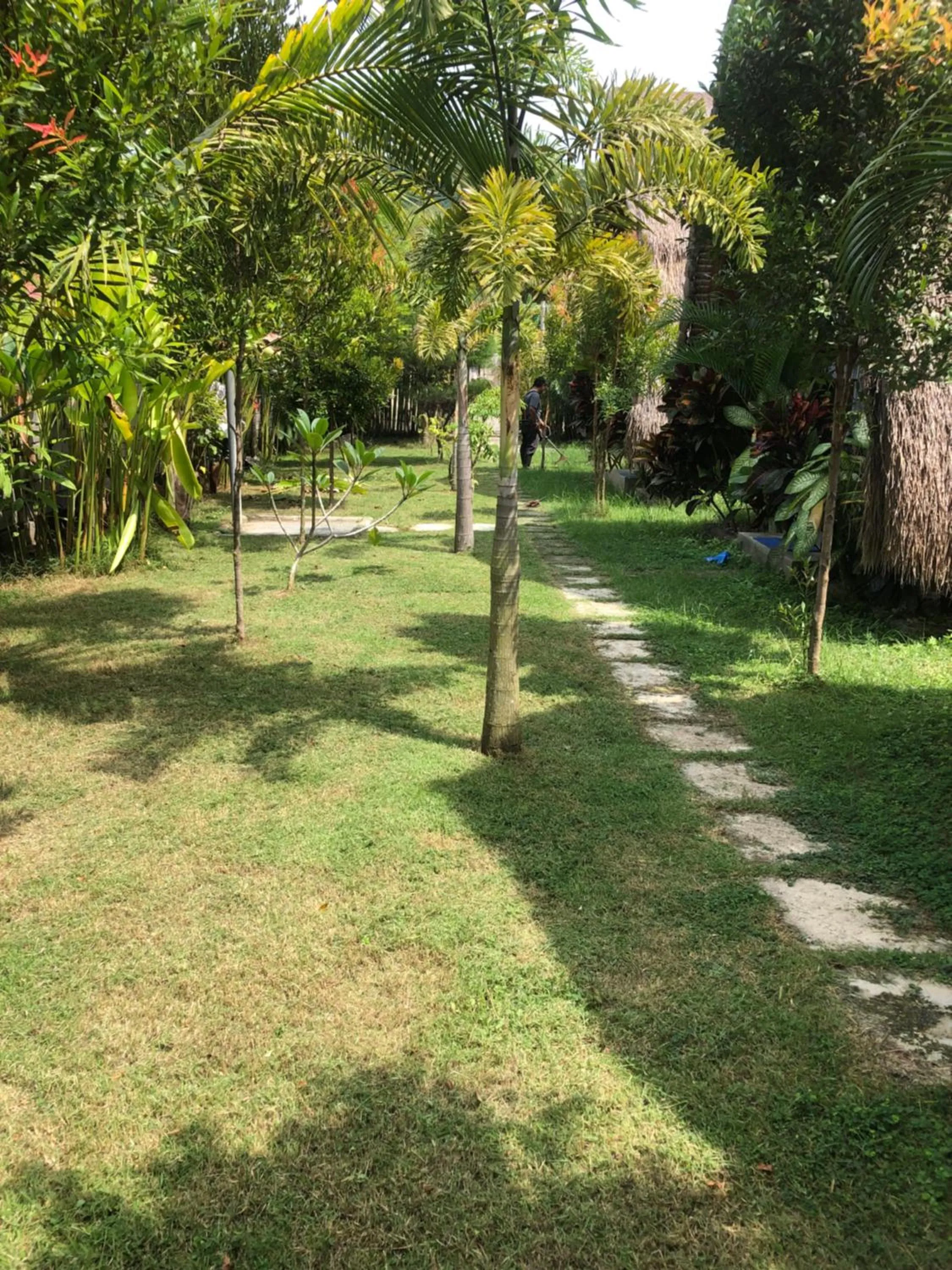 Tropical Sunday Bungalow - Surf And Stay