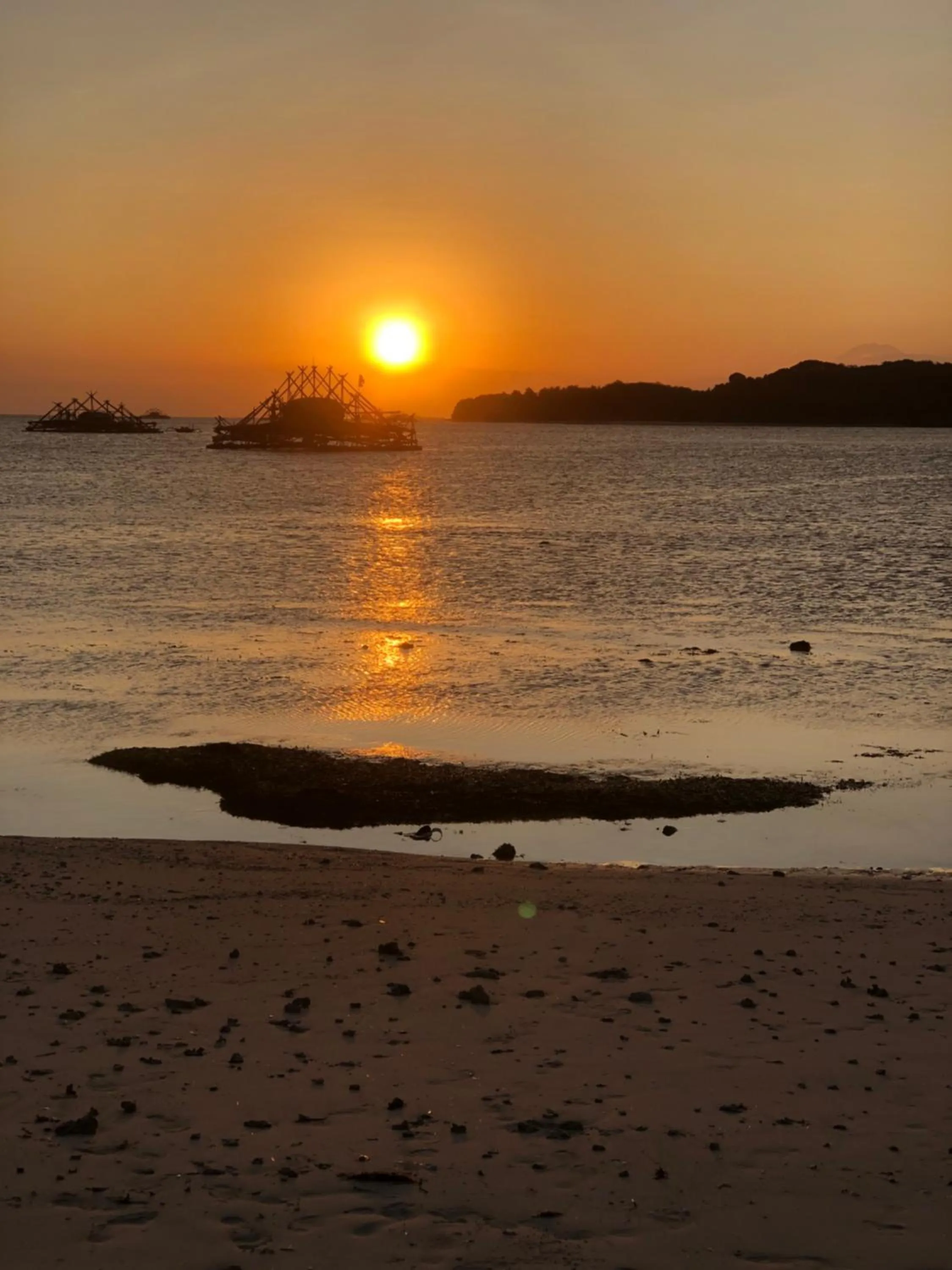 Tropical Sunday Bungalow - Surf And Stay