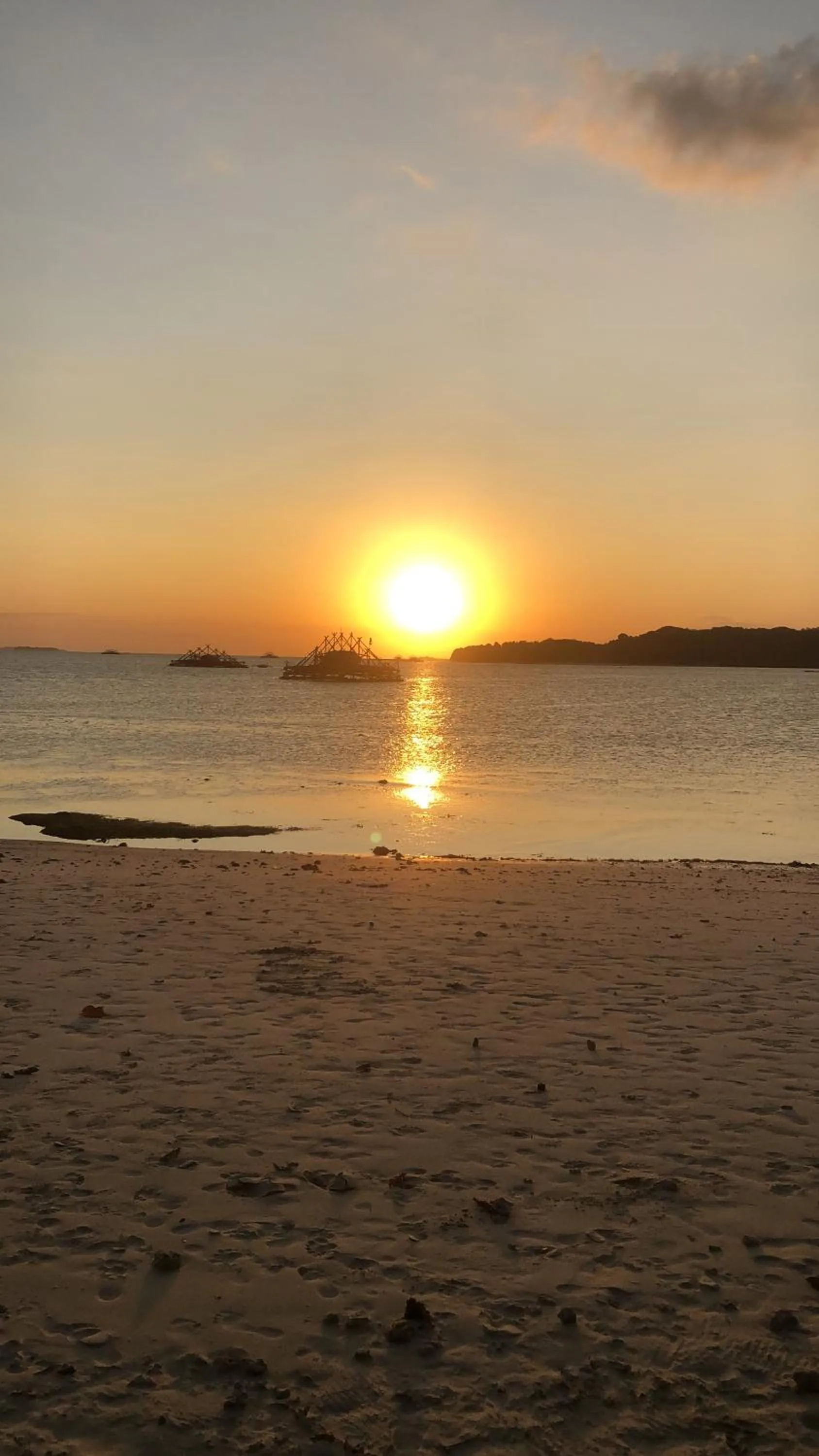 Tropical Sunday Bungalow - Surf And Stay