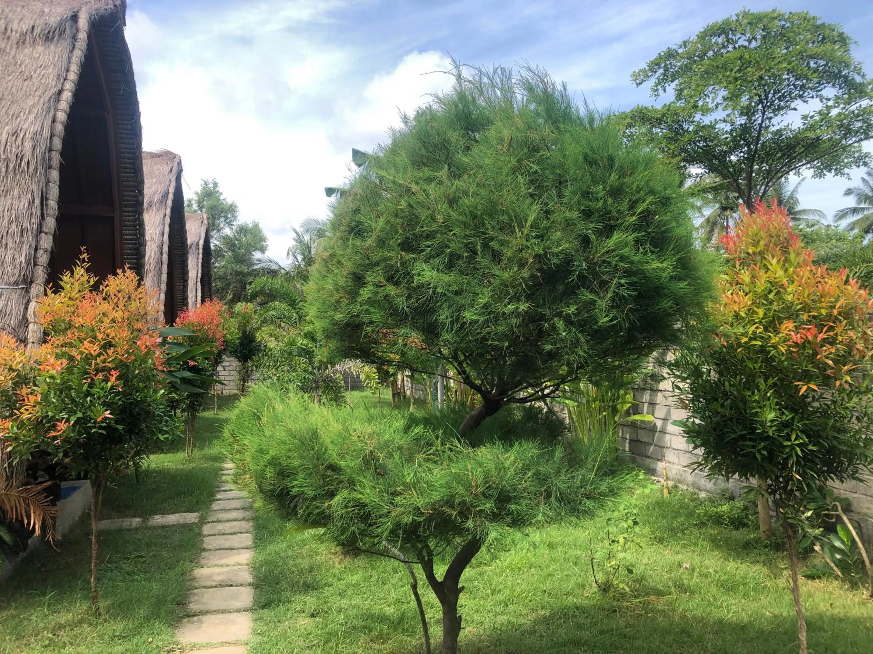 Garden view in Tropical Sunday Bungalow - Surf And Stay