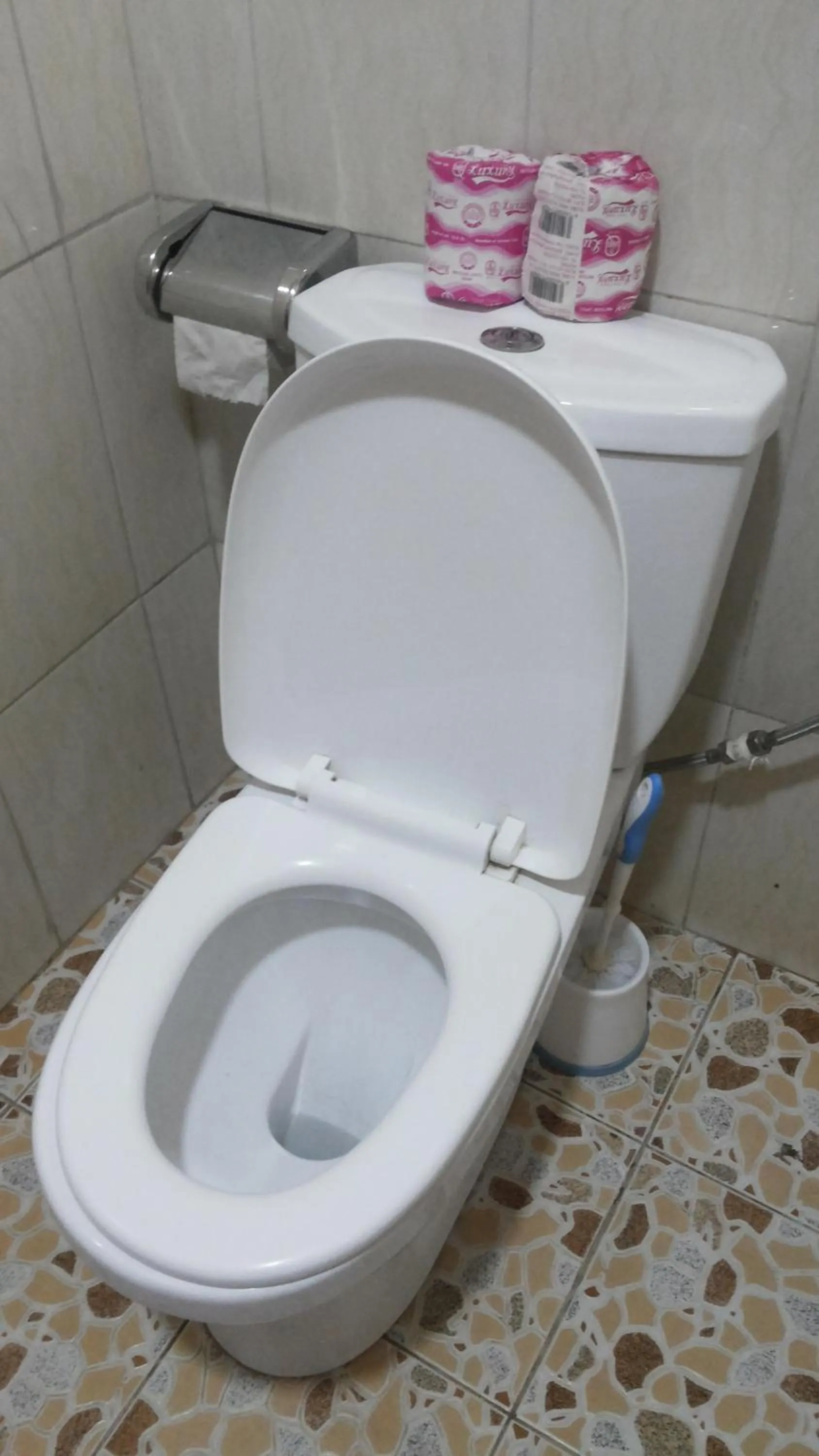 Toilet in Rock Shadow Hotel