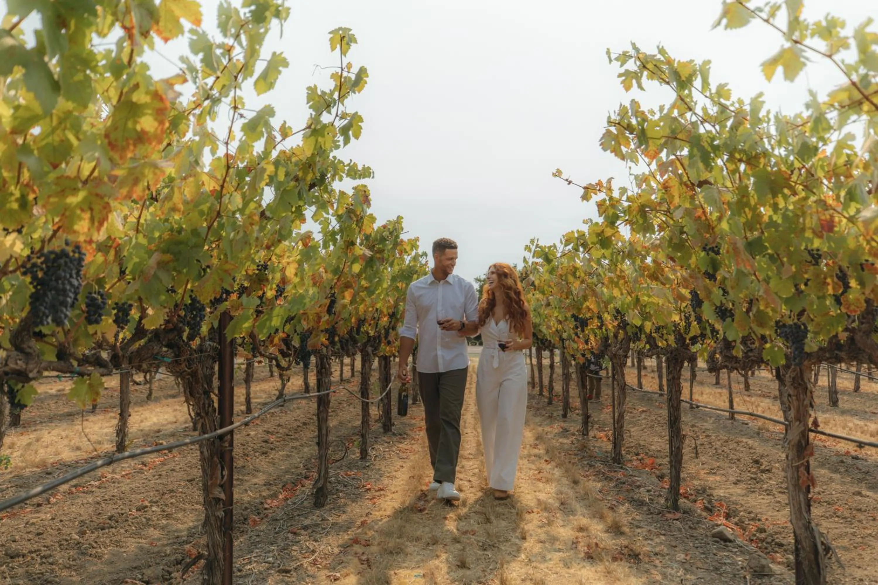 Bann at Oak Knoll Napa