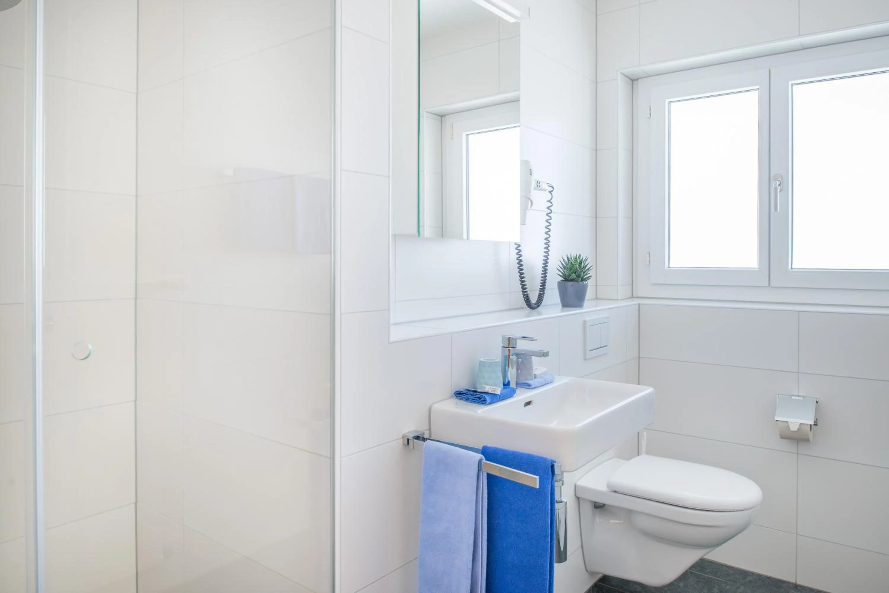 Shower in Hotel Krüzli - dapi 1914