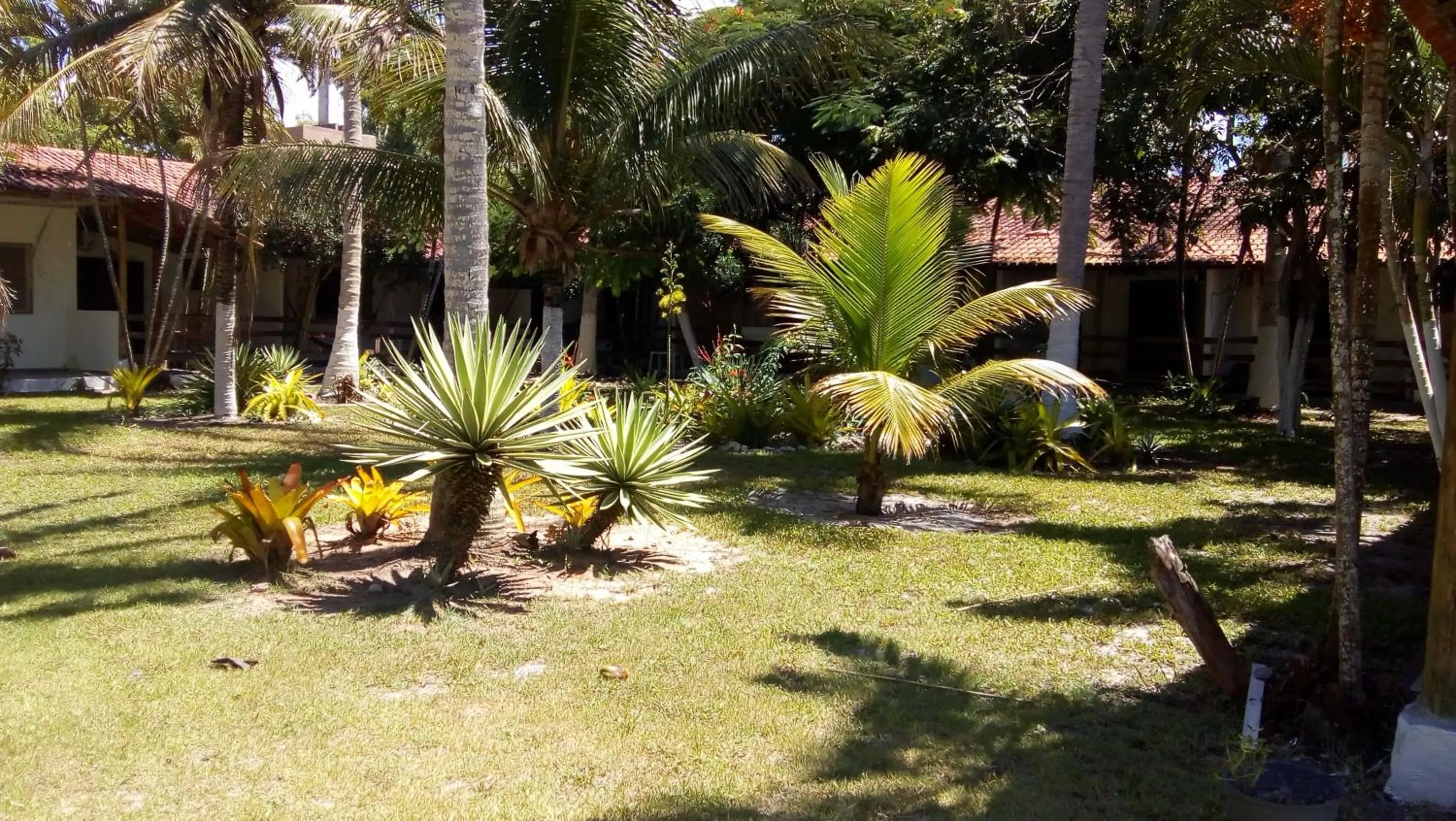 Garden view in HOTEL PRAIA DA PAIXÃO