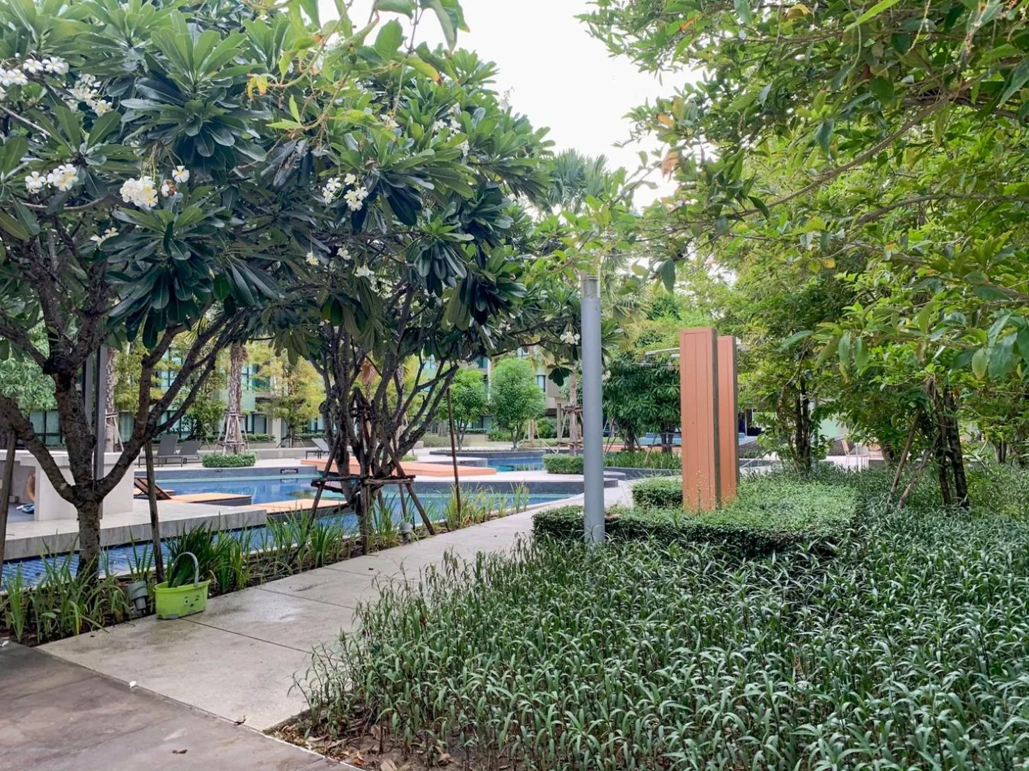 Garden in lumpini park beach