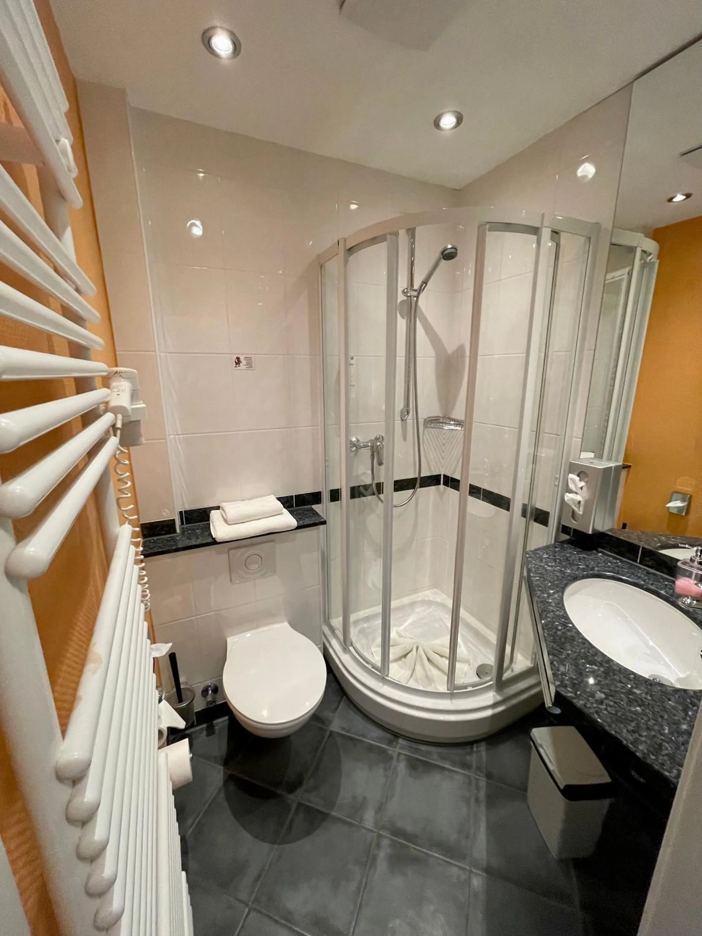 Shower in Berggasthof Hotel Igelwirt