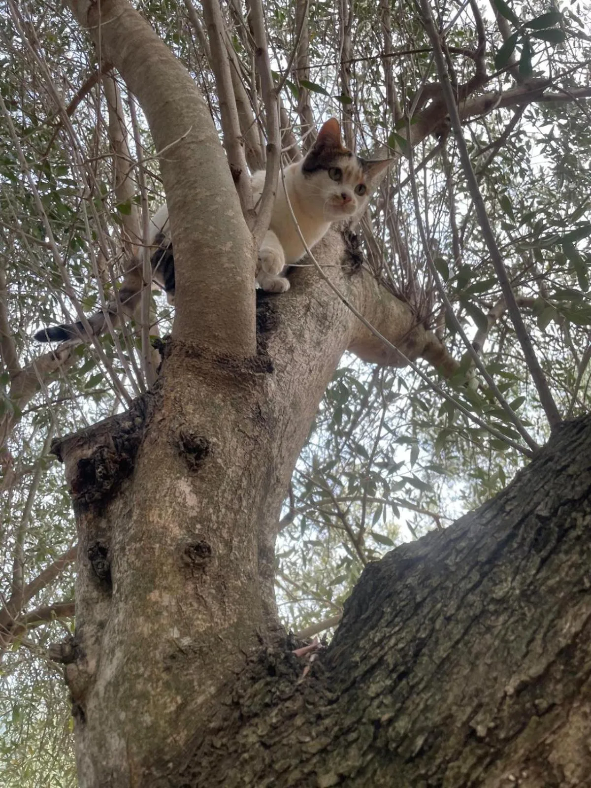 B&B BUICOVILLE CAMEROTA