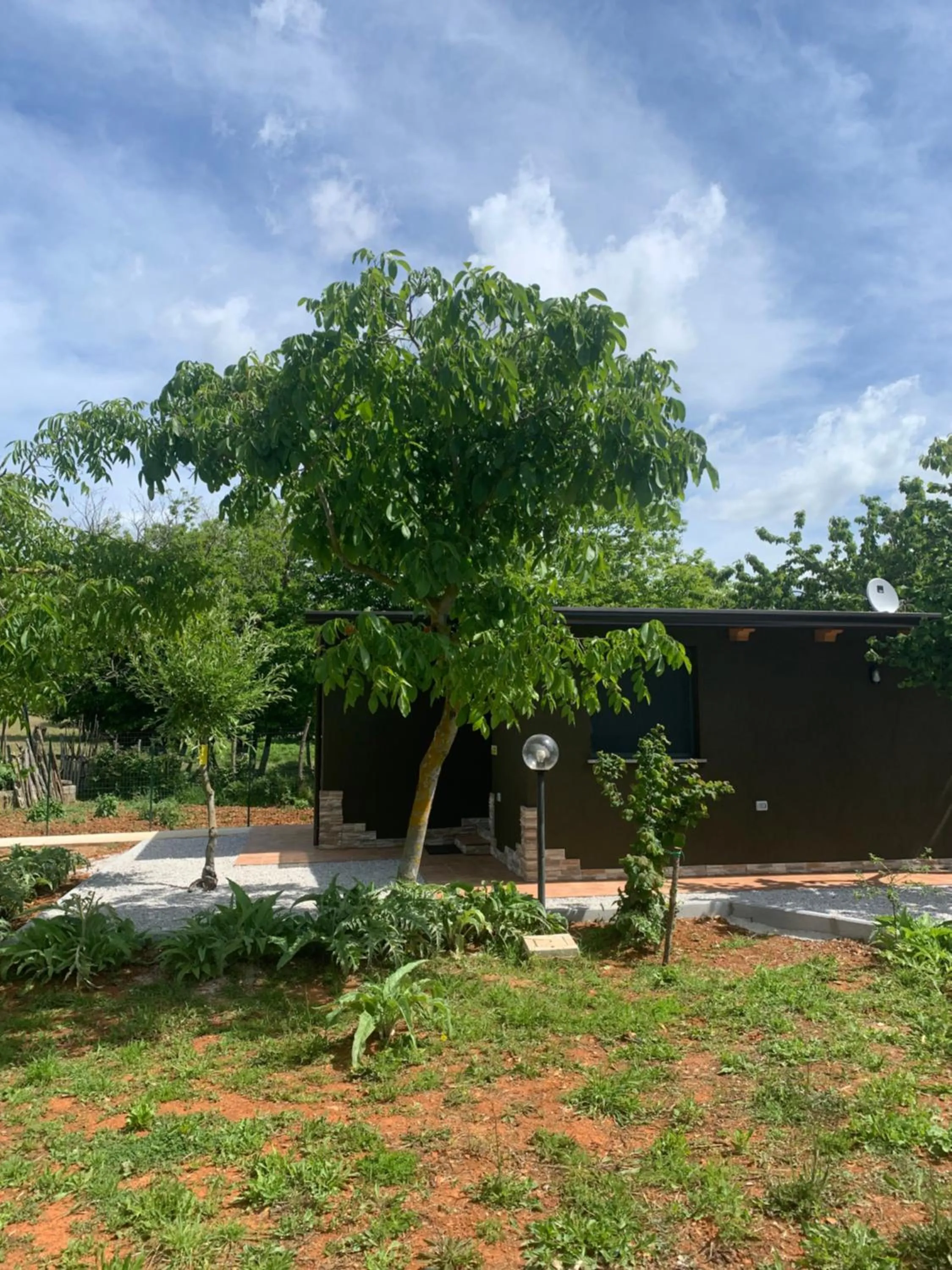 B&B BUICOVILLE CAMEROTA