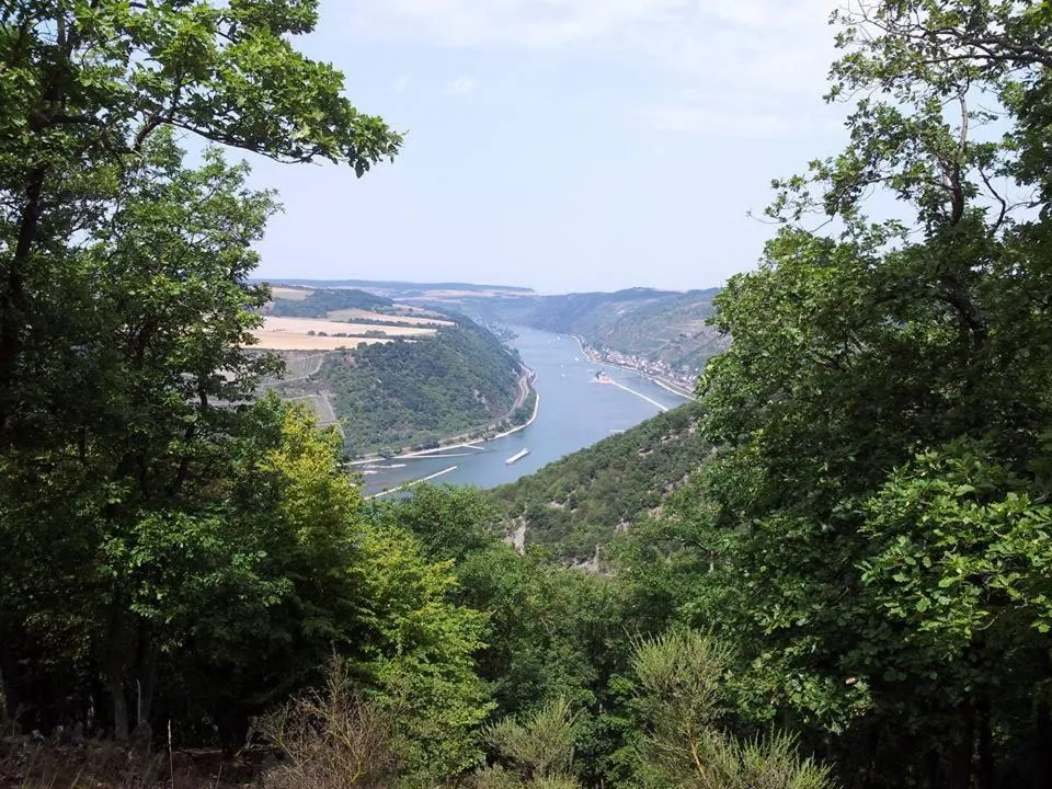 Nearby landmark in Hotel am Markt Bacharach