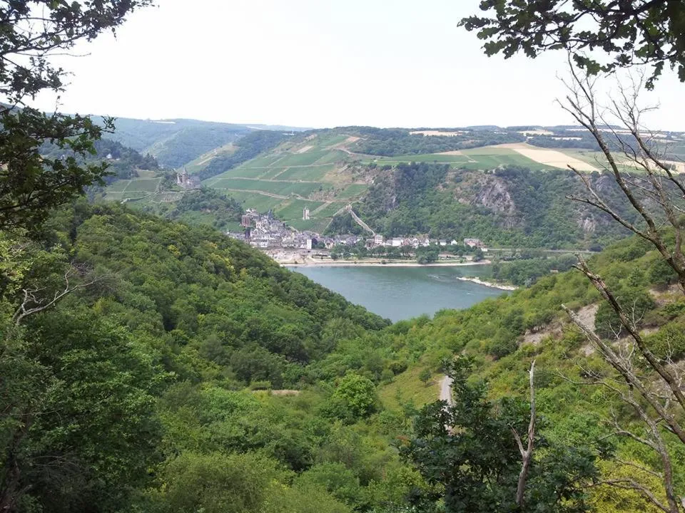 Nearby landmark in Hotel am Markt Bacharach