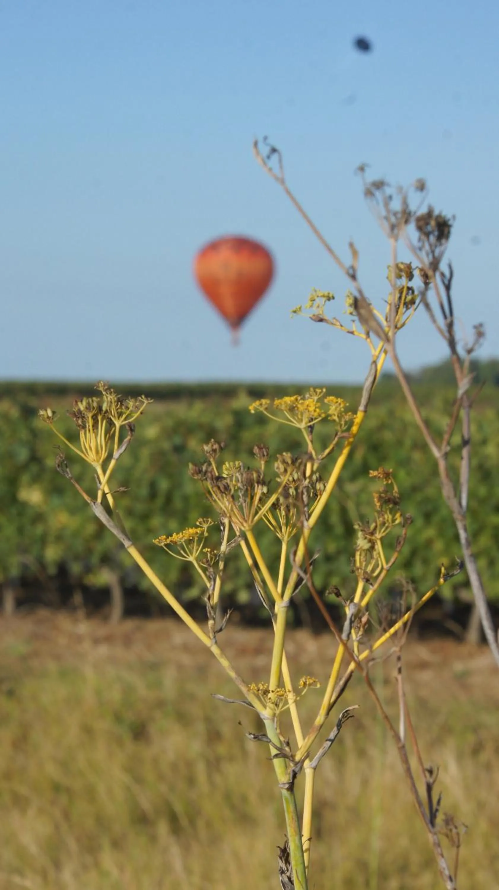 Natural landscape in Chambres d'hôtes La Hourqueyre