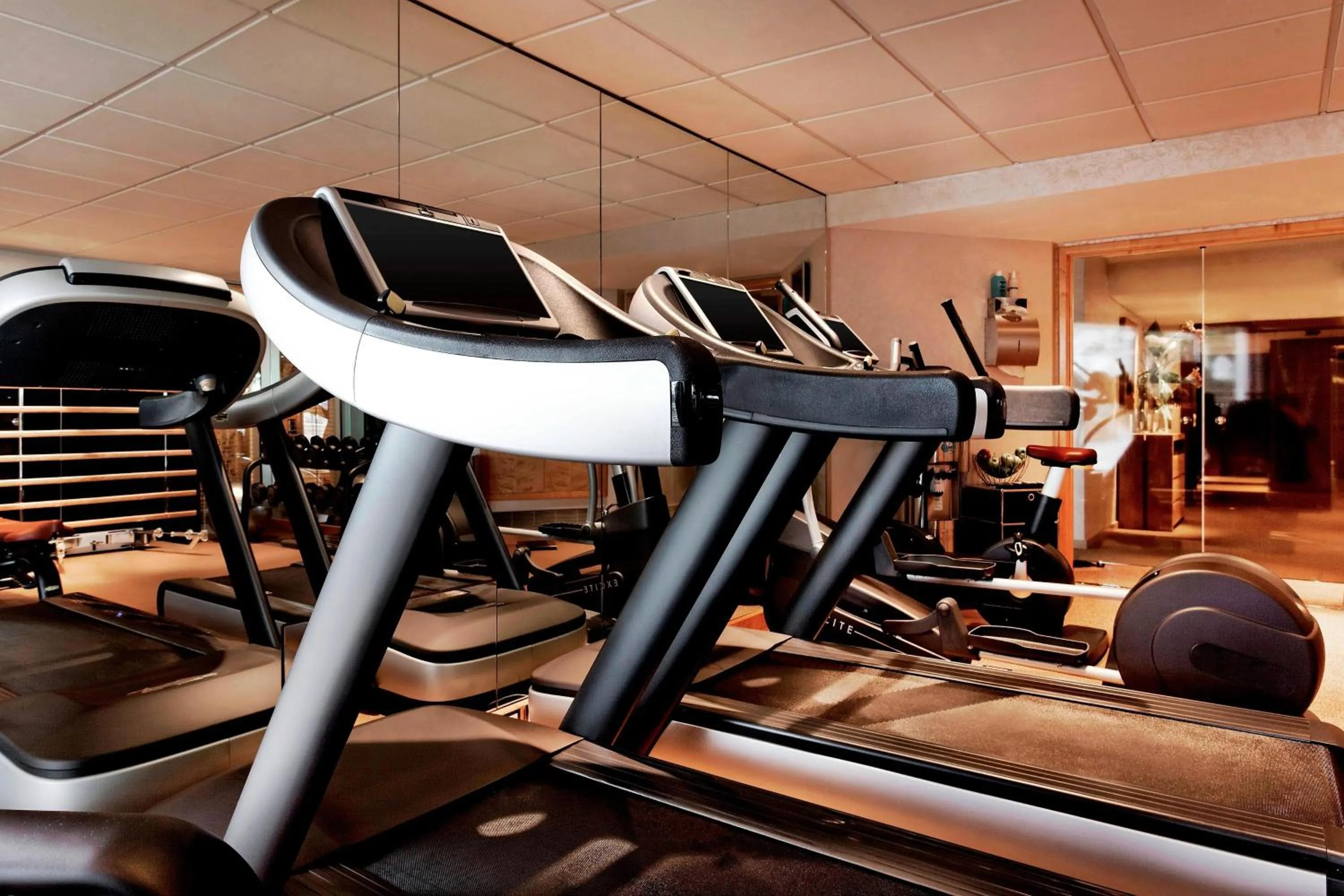 Fitness centre/facilities in Hotel President Wilson, a Luxury Collection Hotel, Geneva