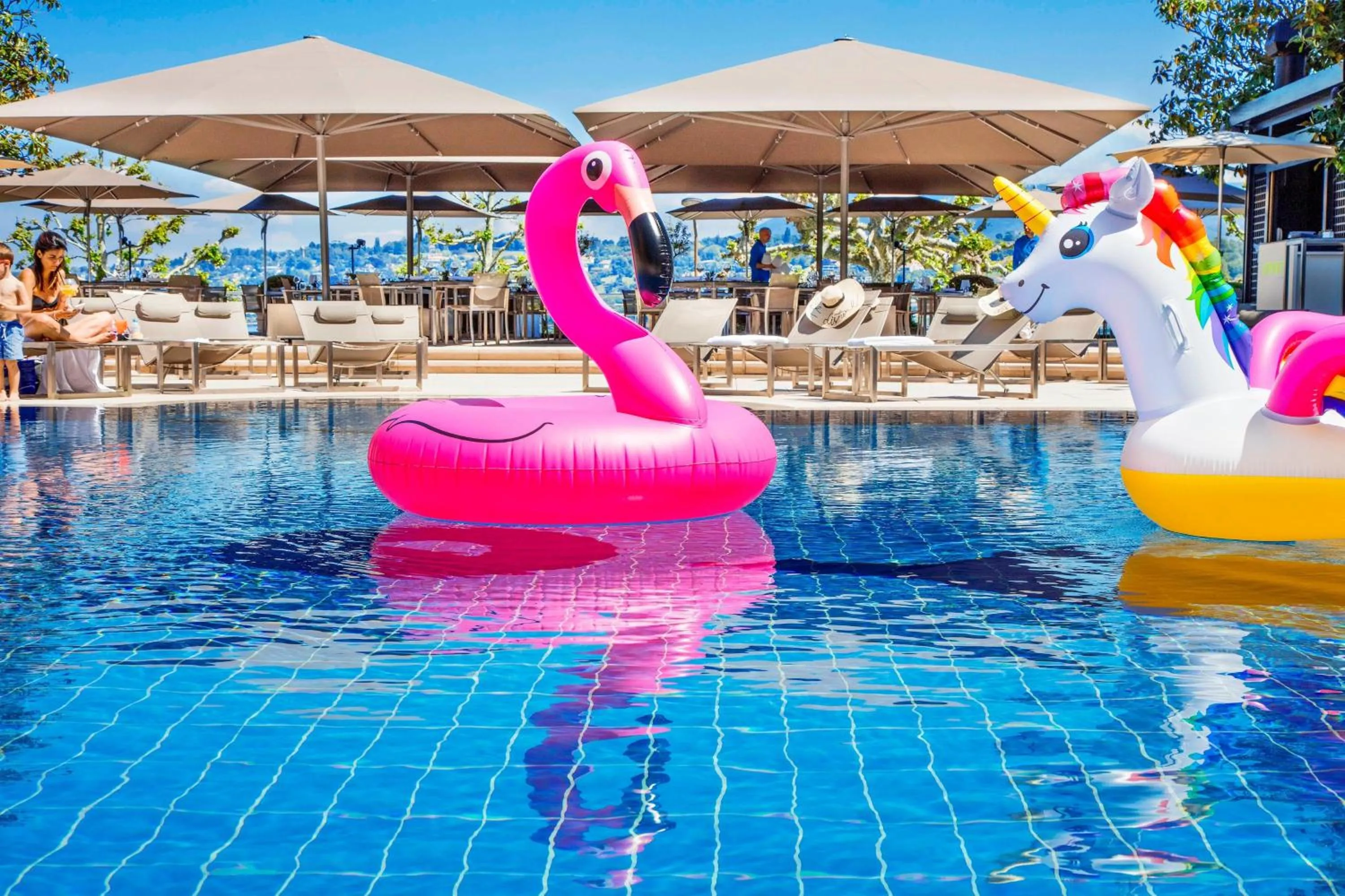 Area and facilities in Hotel President Wilson, a Luxury Collection Hotel, Geneva