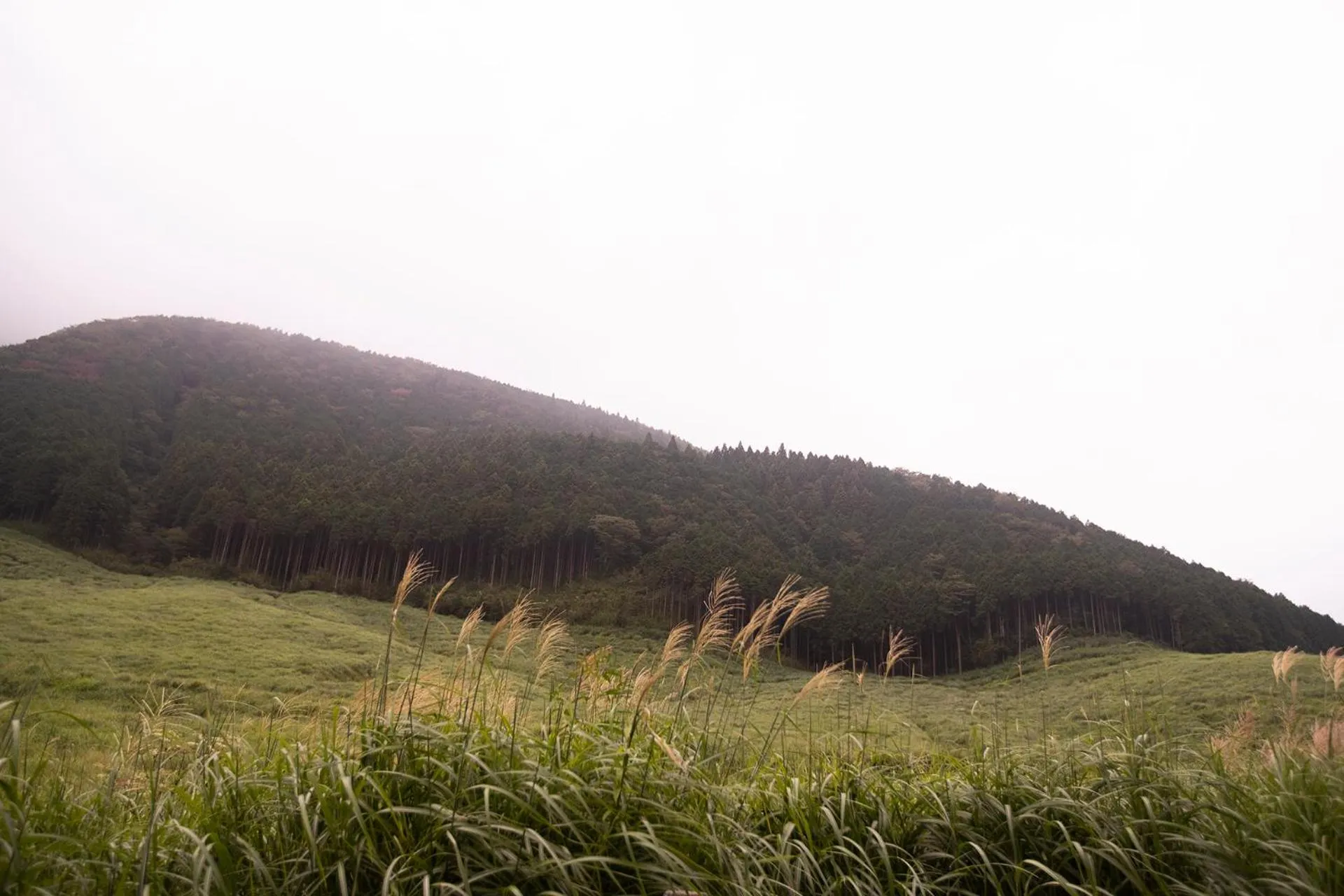 Nearby landmark in Hotel Sengokuhara 533