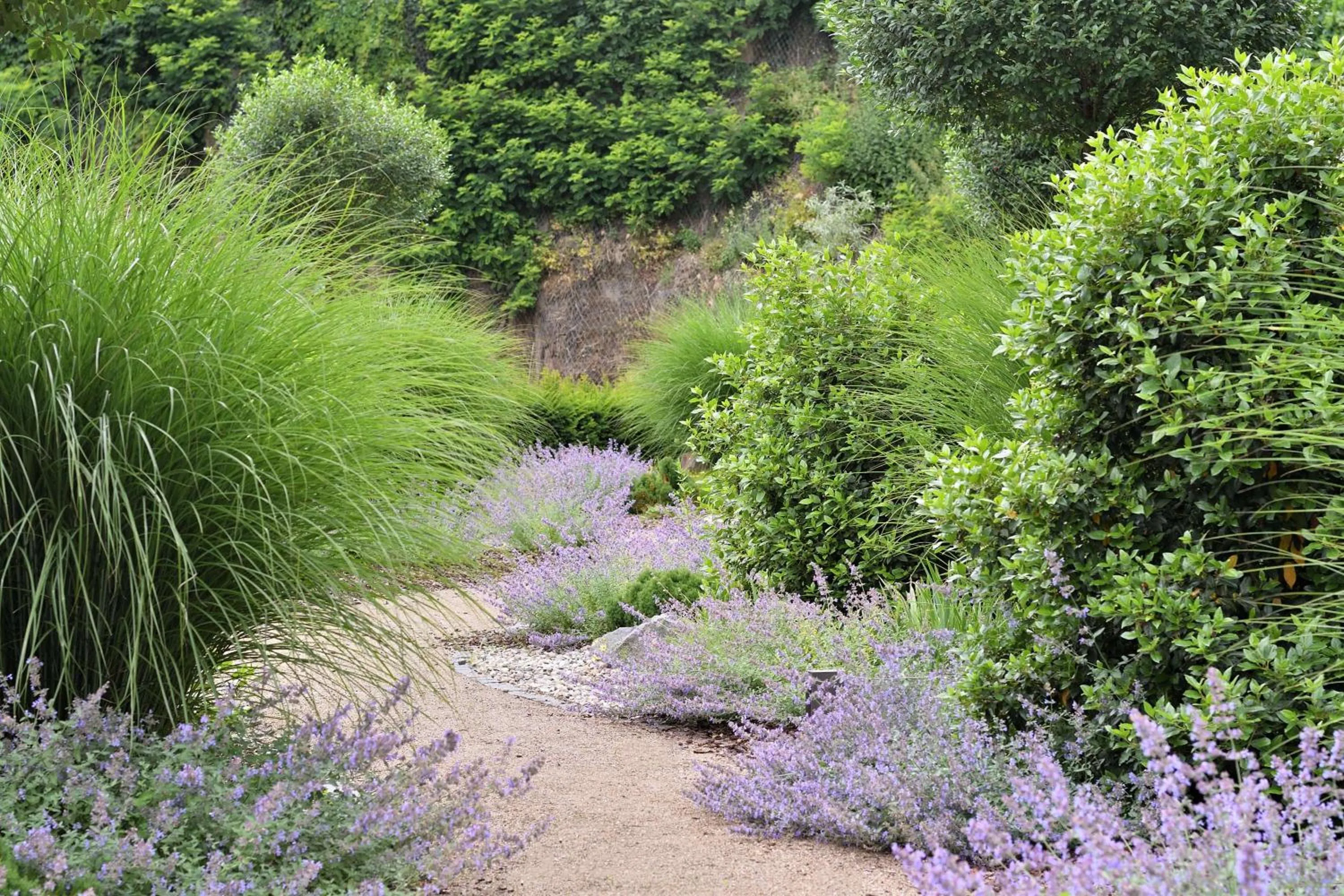 Food and drinks in Best Western Premier Hotel Villa Stokkum