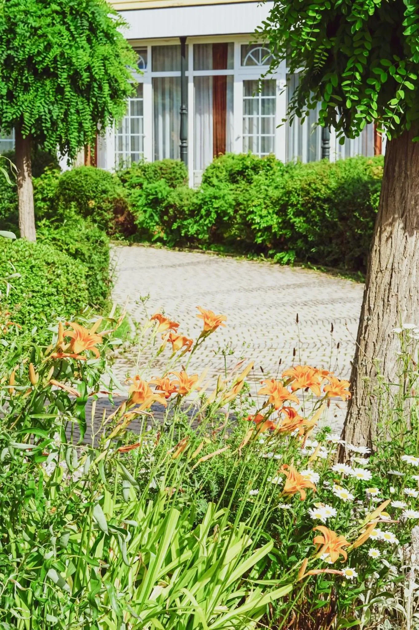 Garden in Atrium Hotel Amadeus