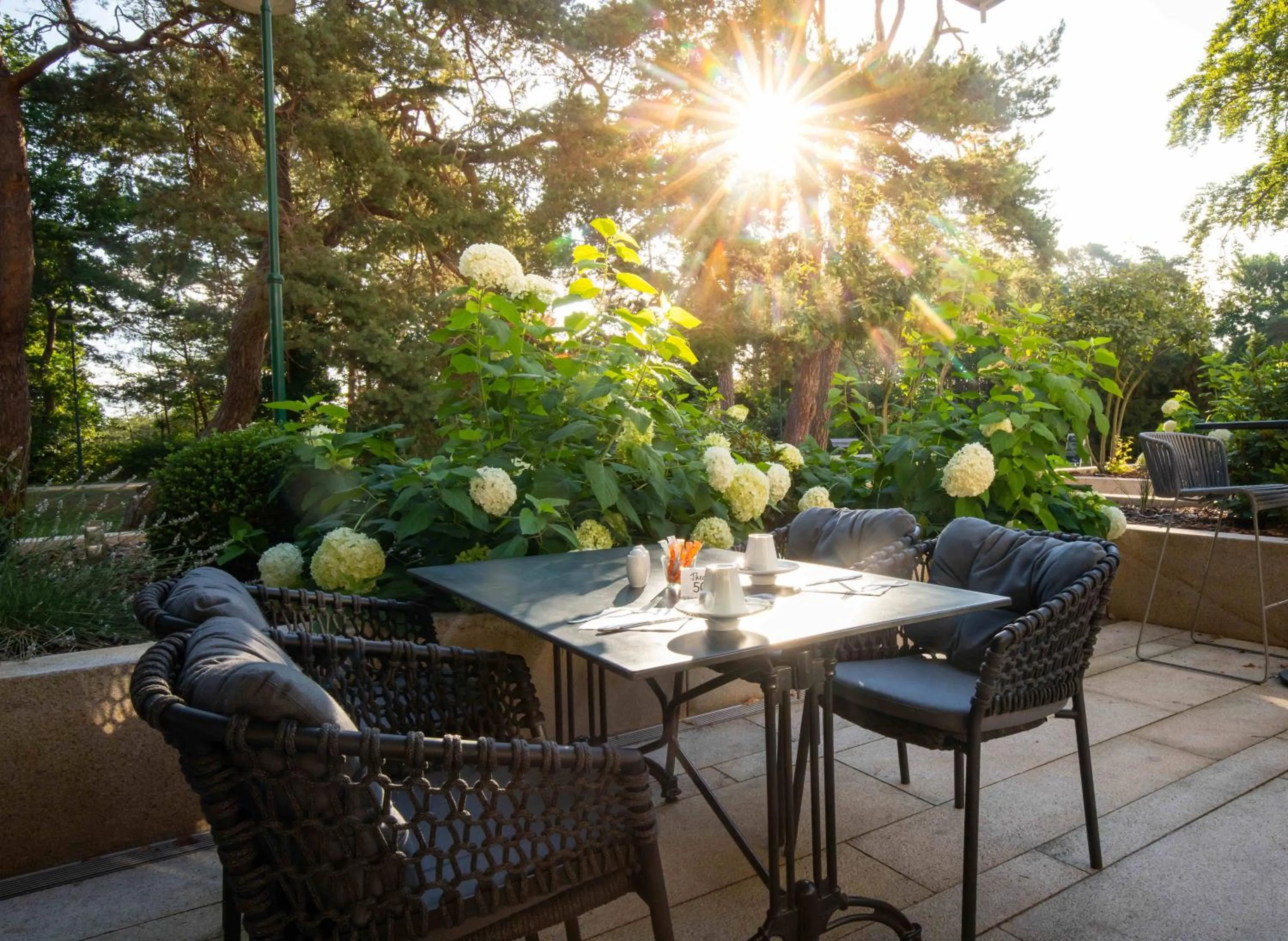 Restaurant/places to eat in Upstalsboom Heringsdorf