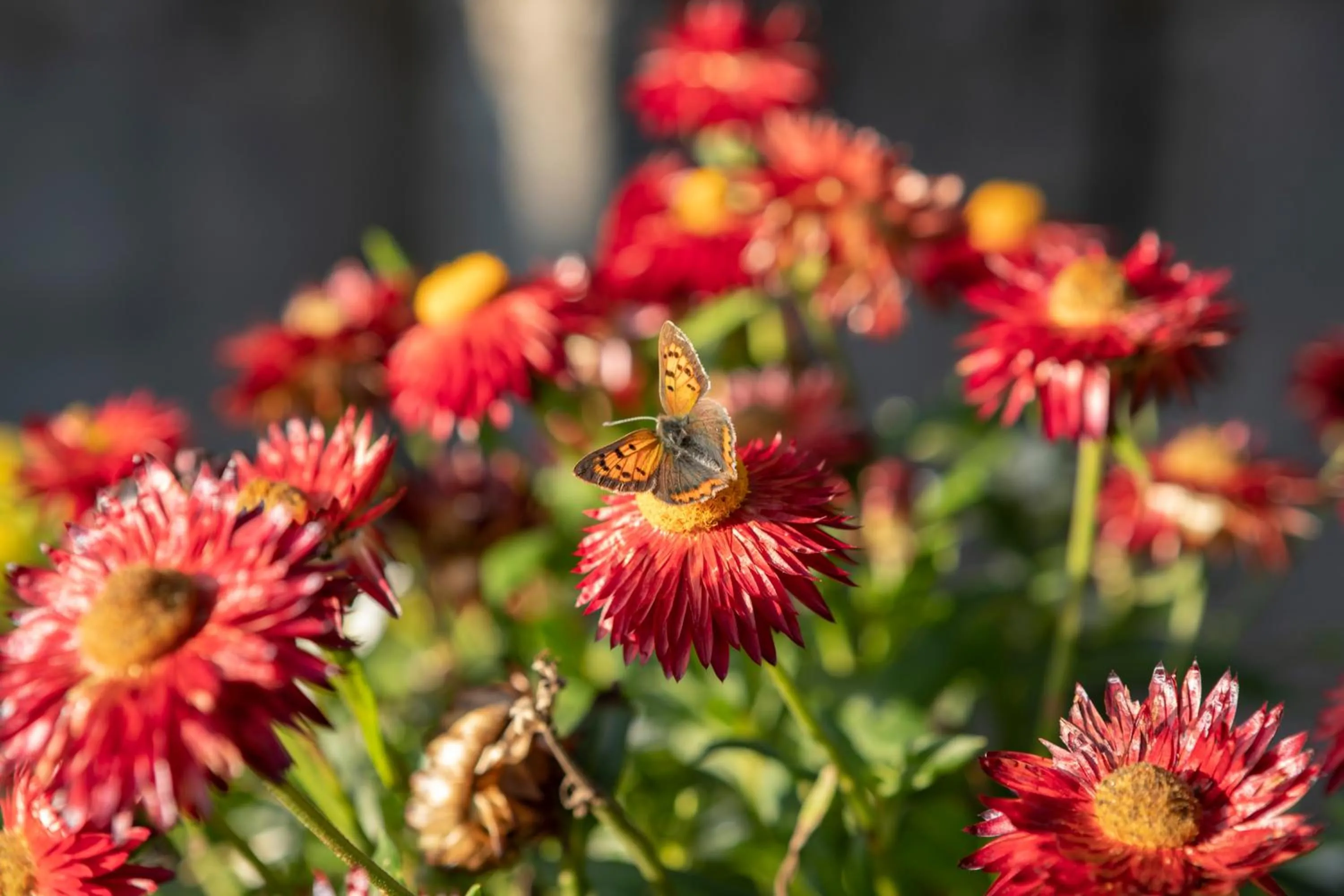 View (from property/room) in Hotel am Ludwigskanal