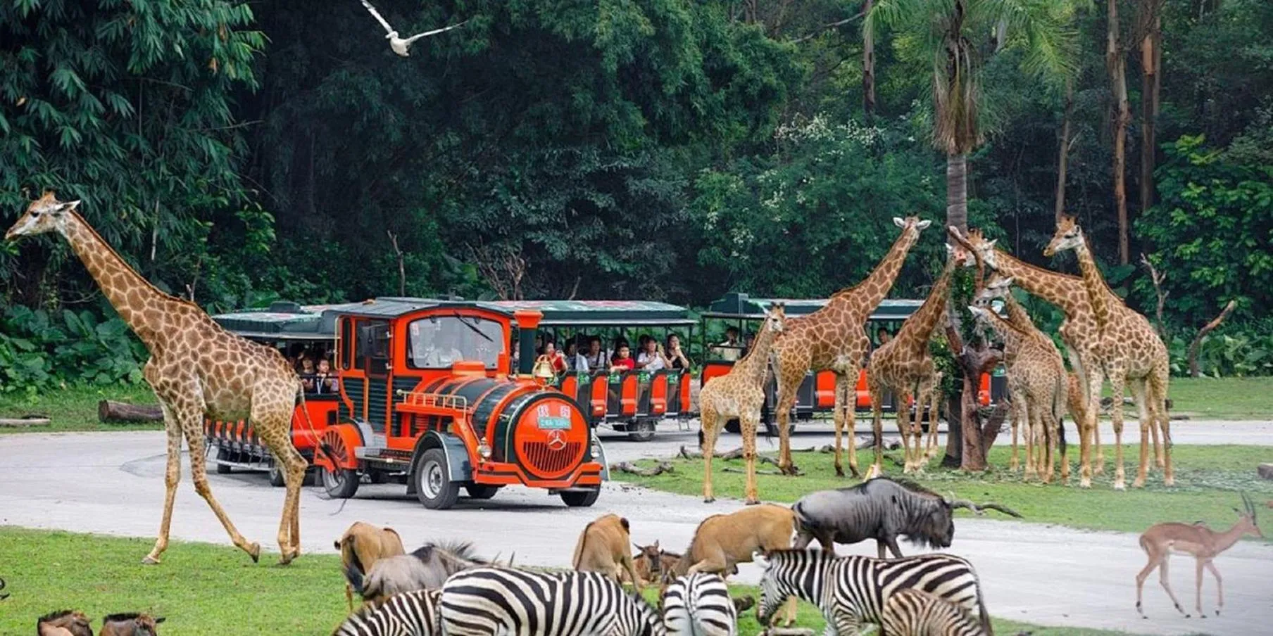 Area and facilities in Crowne Plaza Foshan Nanhai-an IHG Hotel