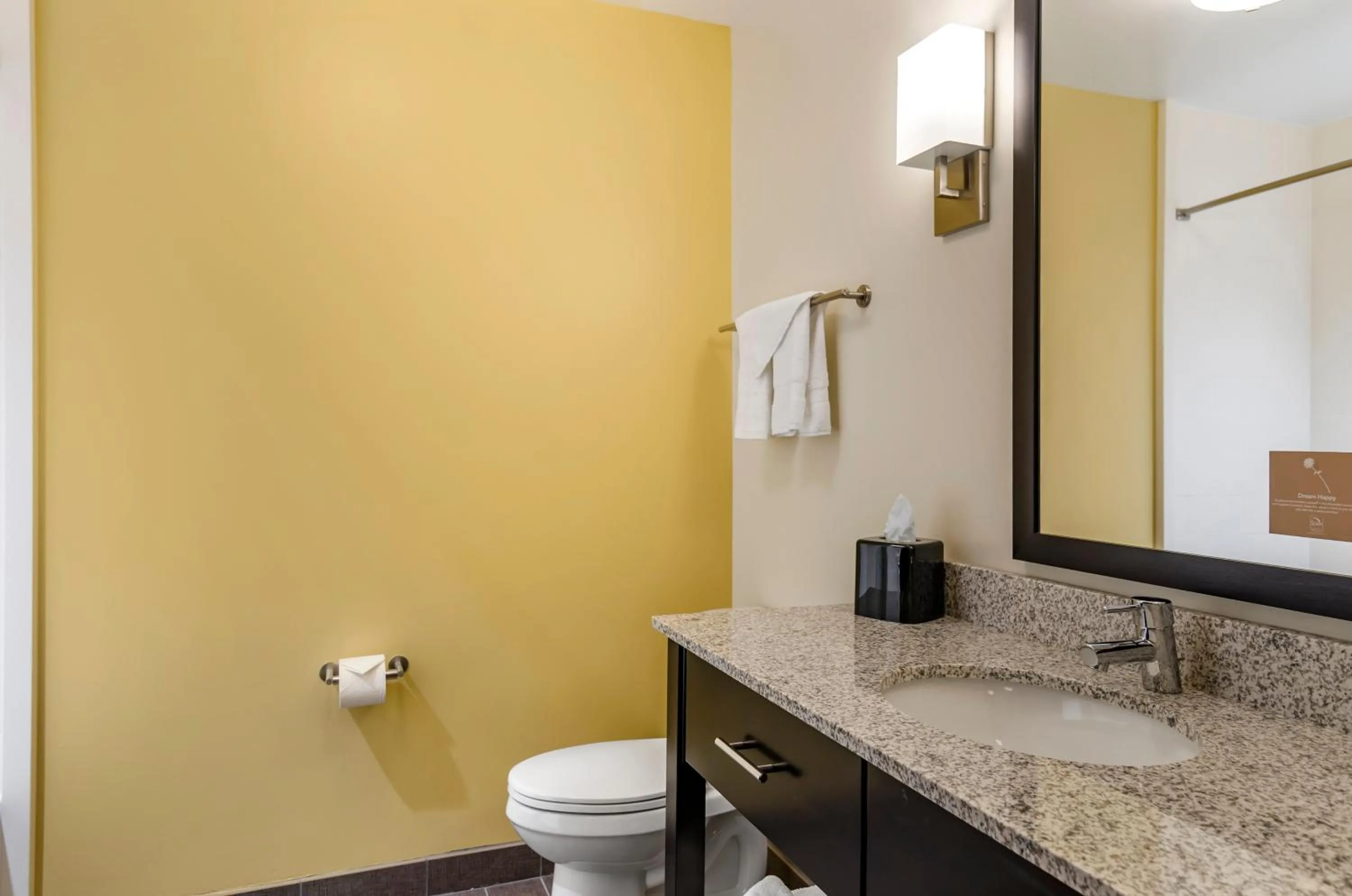 Bathroom in Sleep Inn & Suites Great Falls Airport