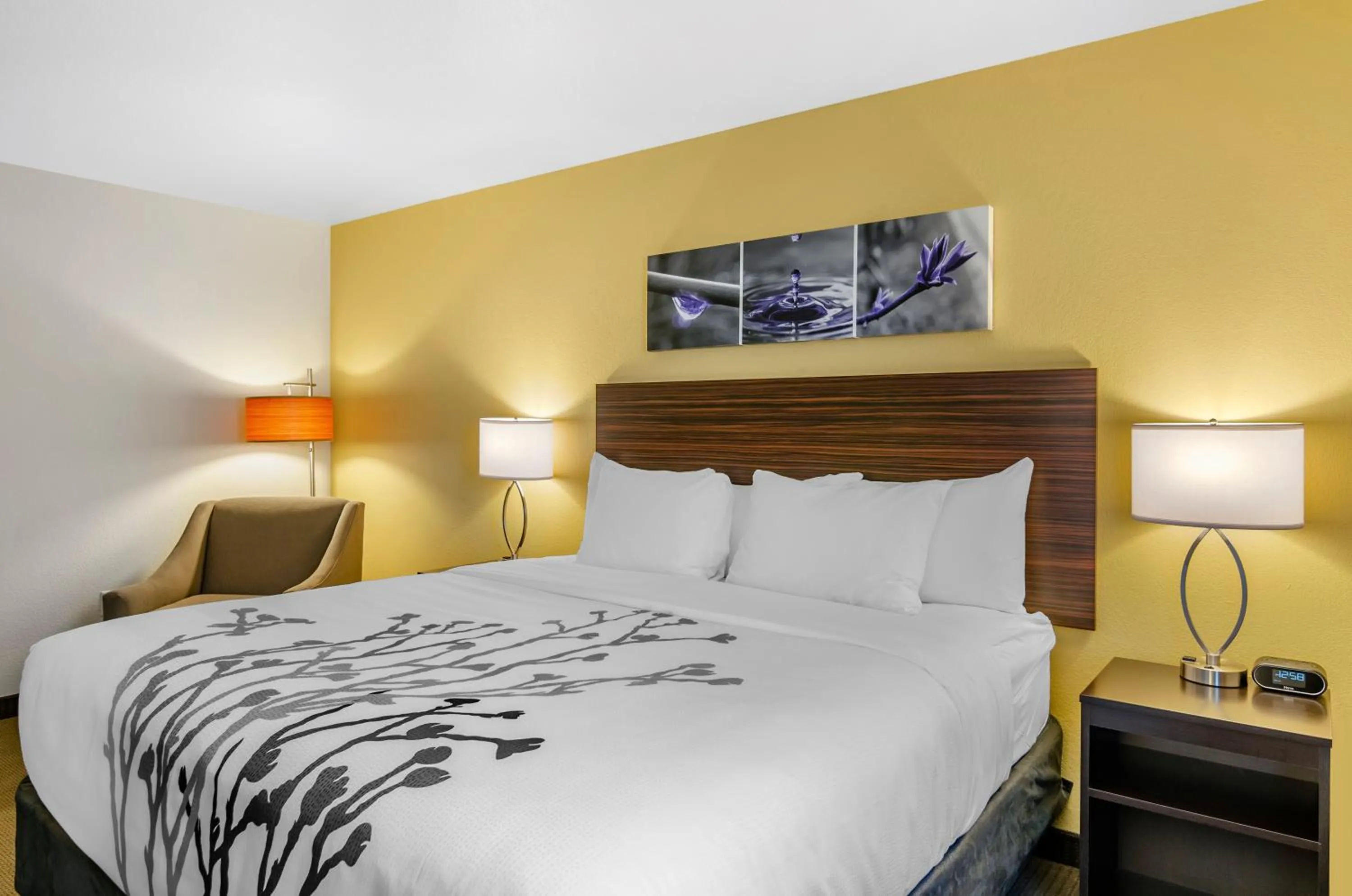 Bed in Sleep Inn & Suites Great Falls Airport