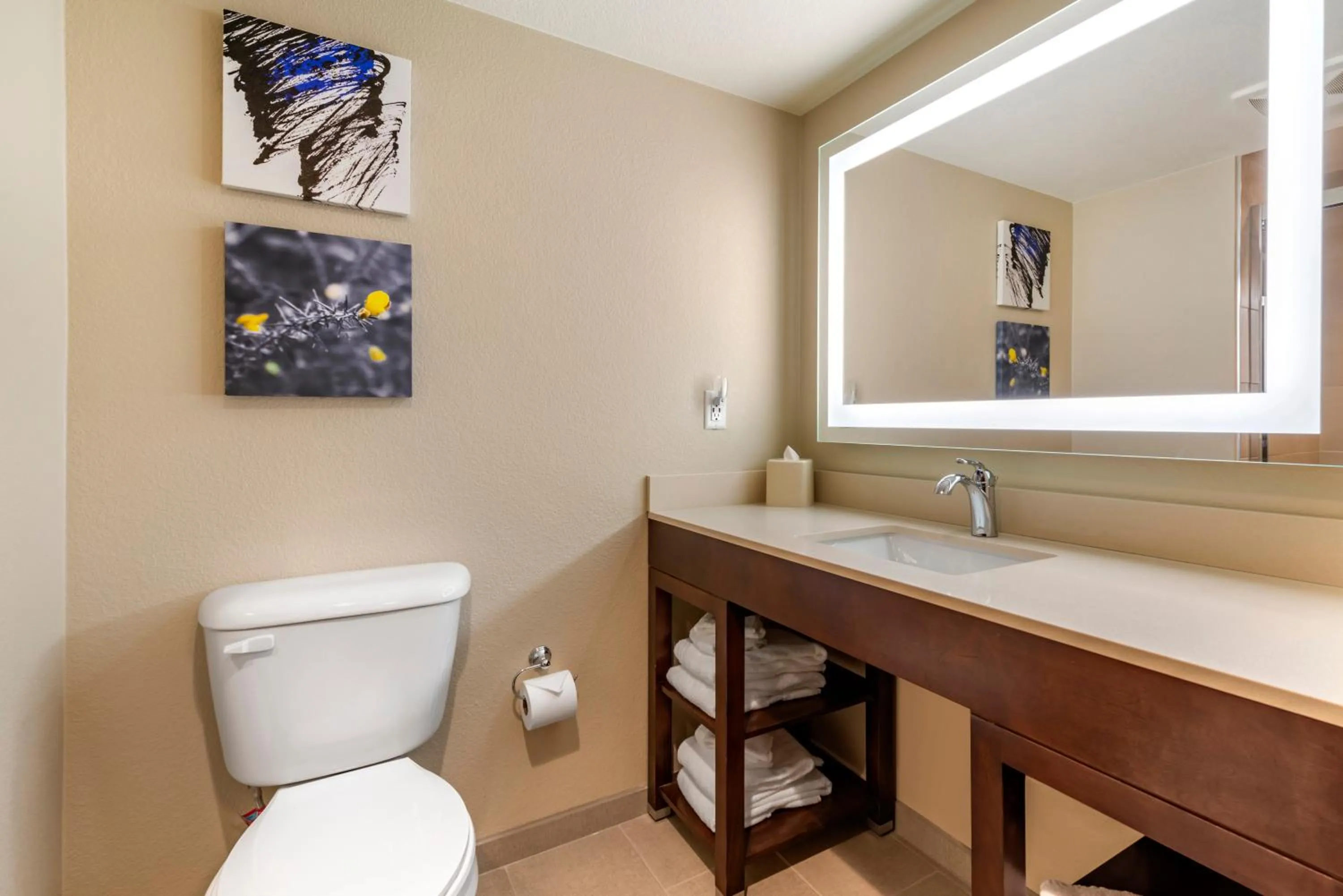 Bathroom in Comfort Suites Broomfield-Boulder-Interlocken