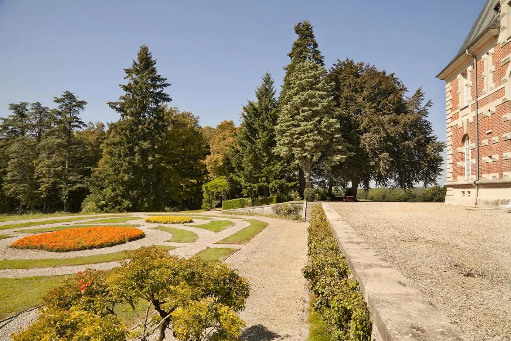 Garden in Chateau de Joyeux - Chambres d'Hotes