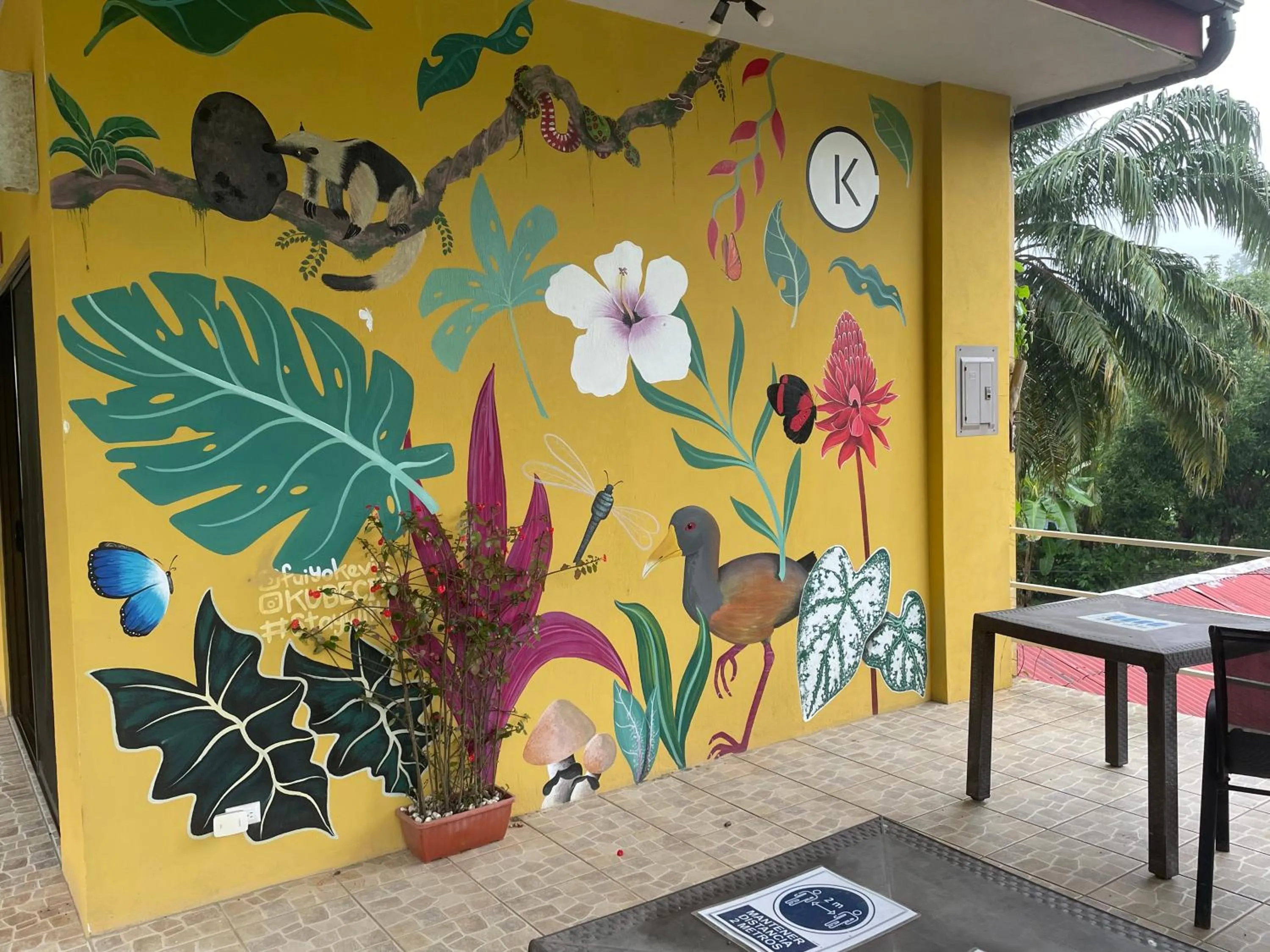 Patio in Hotel LUZ de LUNA Bahía Ballena