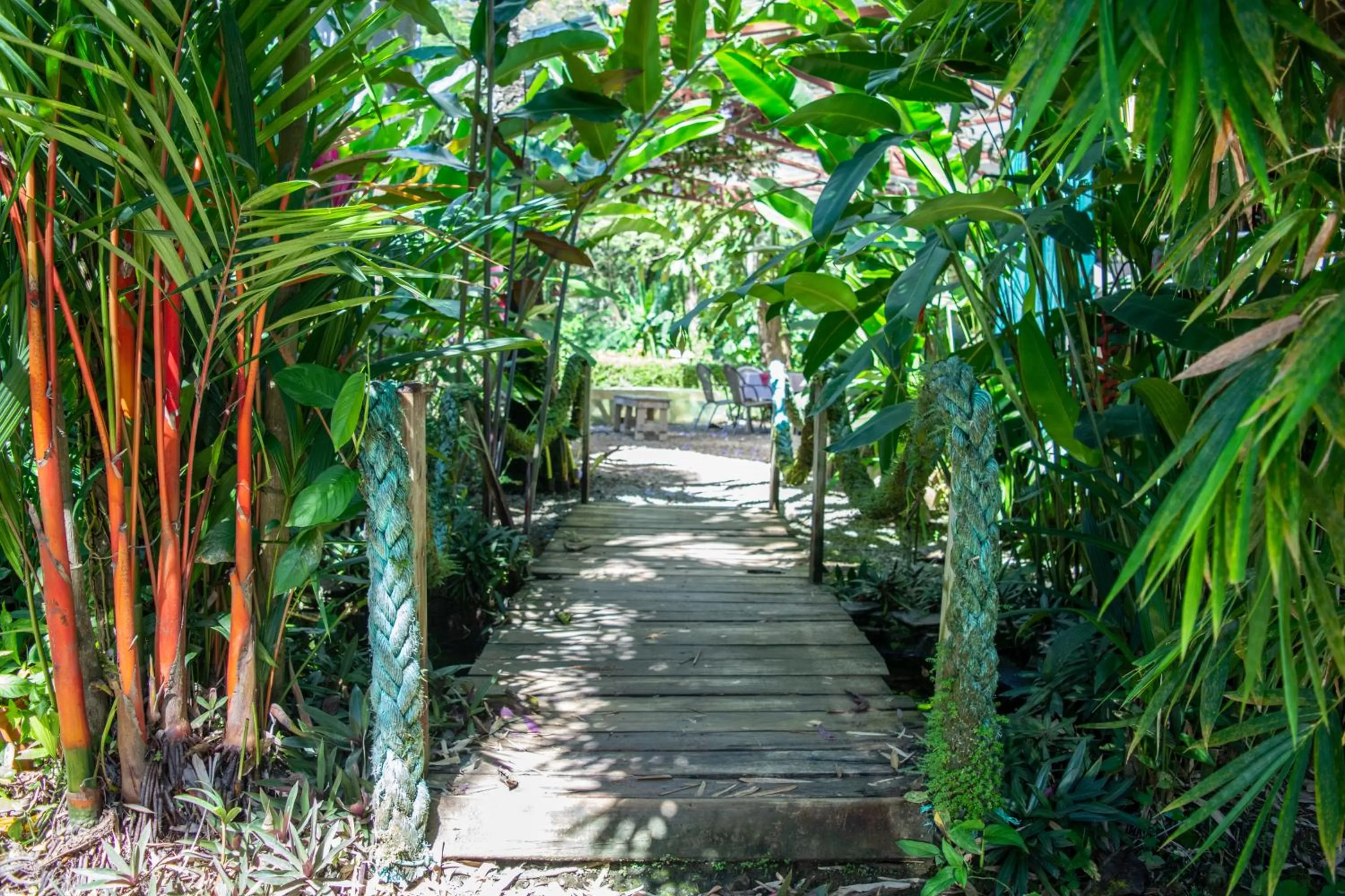 Garden in Hotel LUZ de LUNA Bahía Ballena