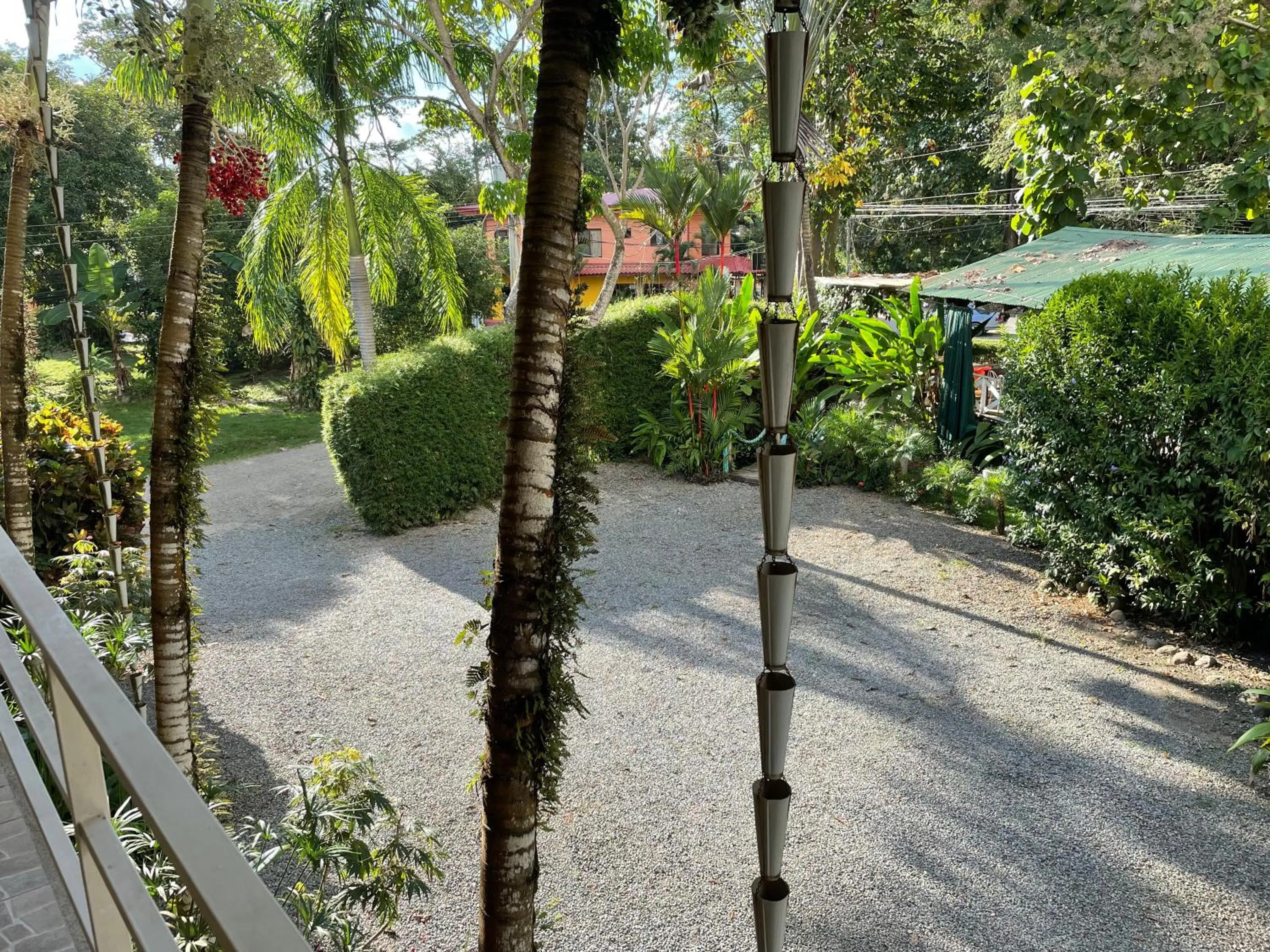 Garden in Hotel LUZ de LUNA Bahía Ballena