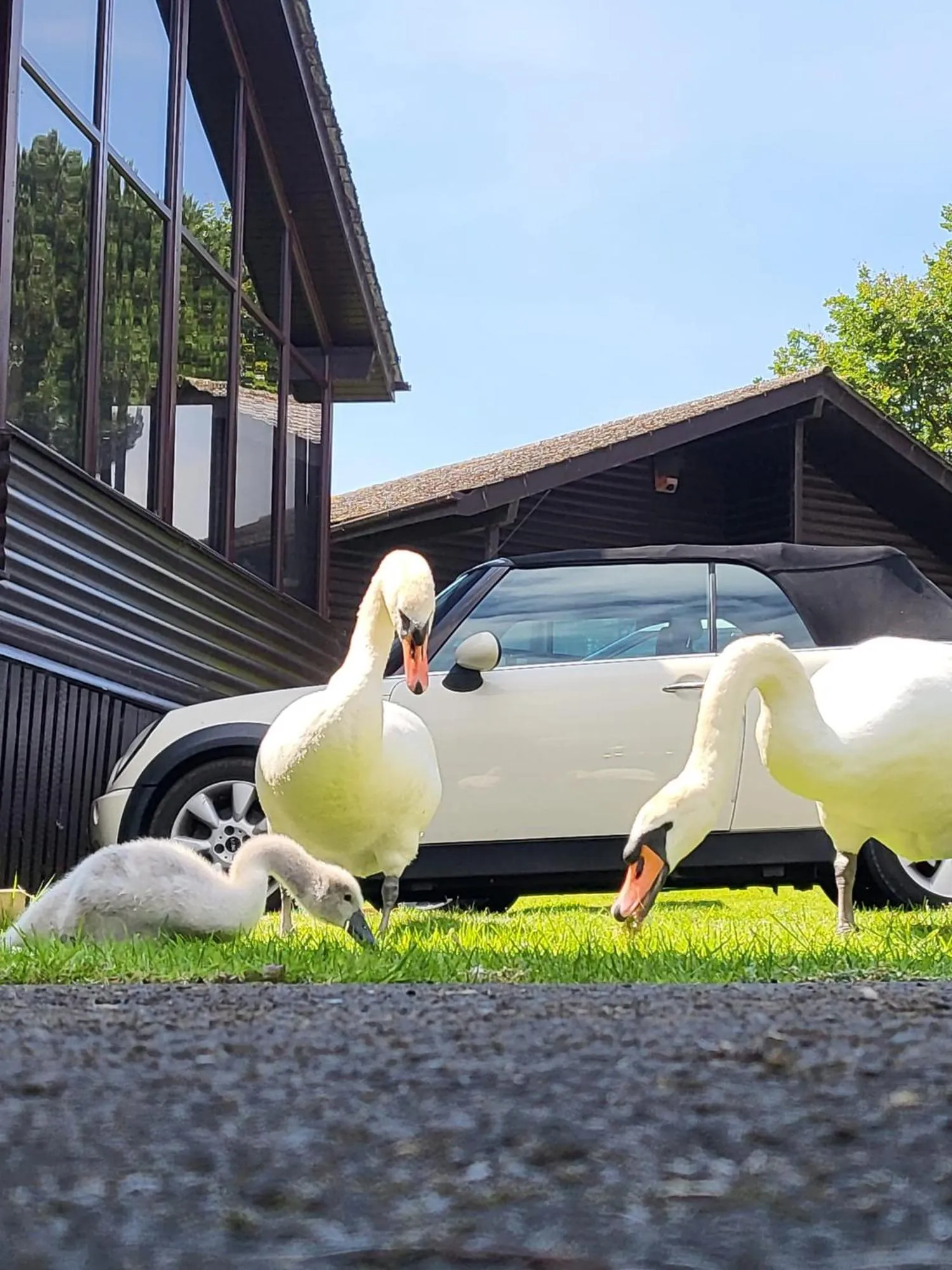 Property building in Keer Side Lodge, Luxury lodge with private hot tub at Pine Lake Resort