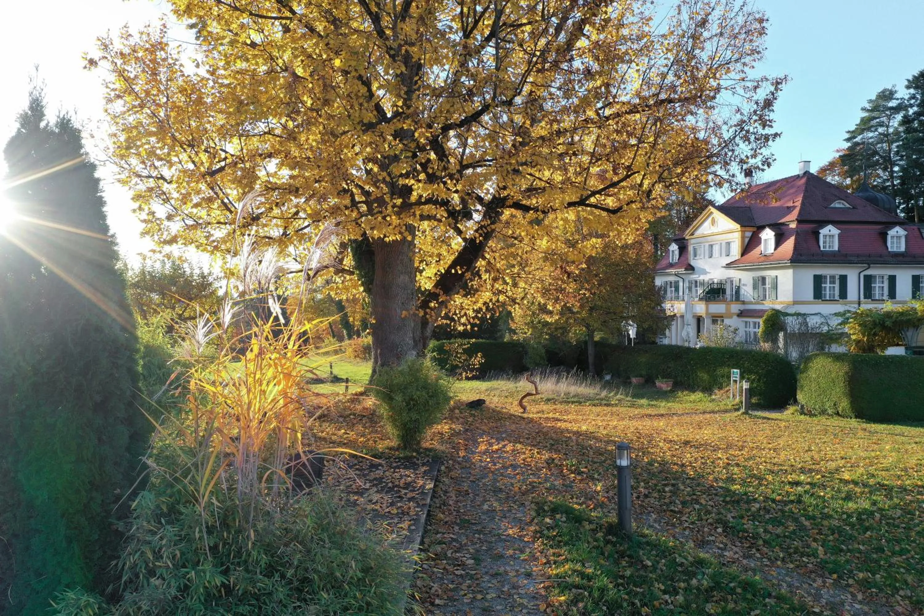 Natural landscape in Biohotel Schlossgut Oberambach