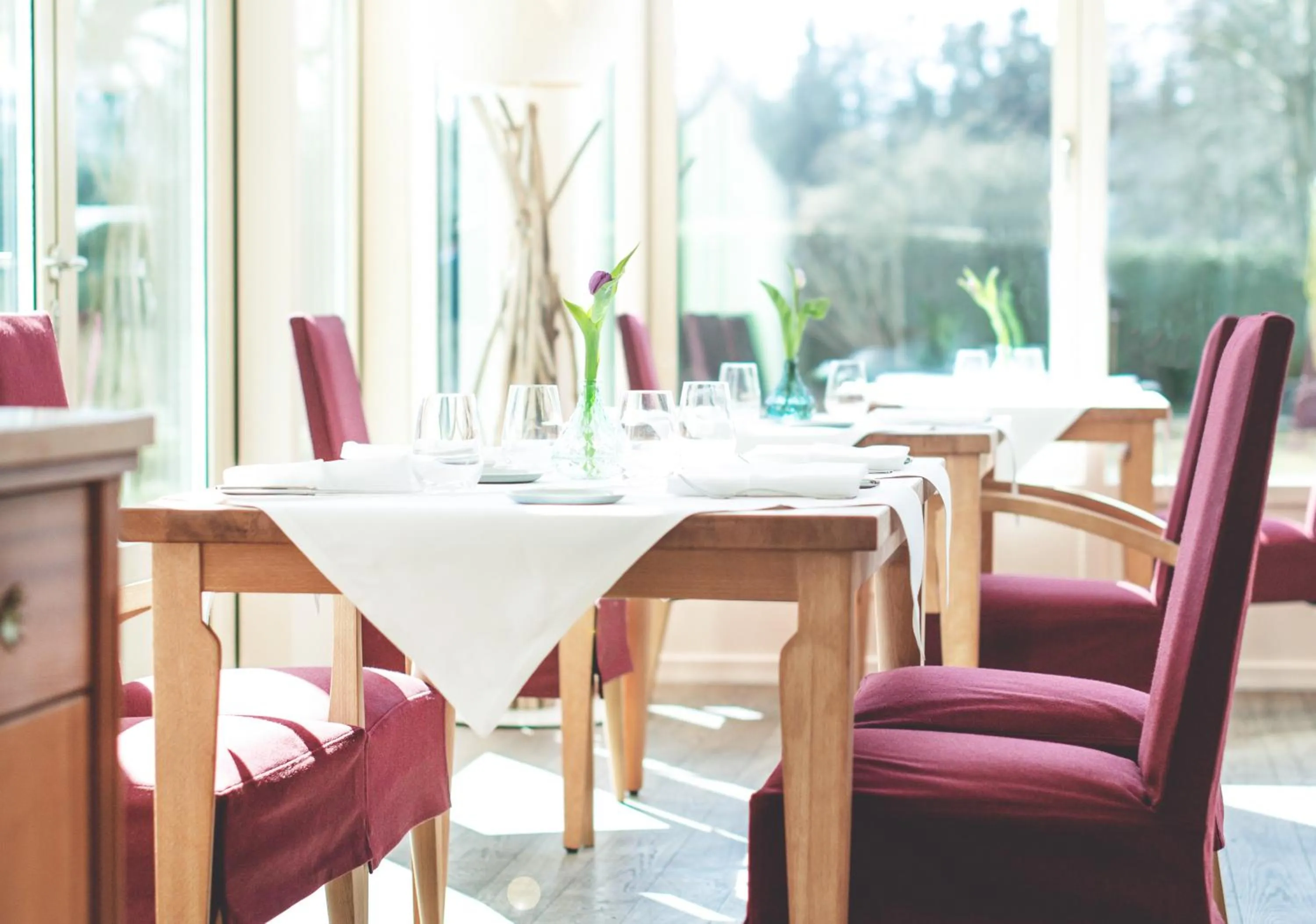 Restaurant/places to eat in Biohotel Schlossgut Oberambach