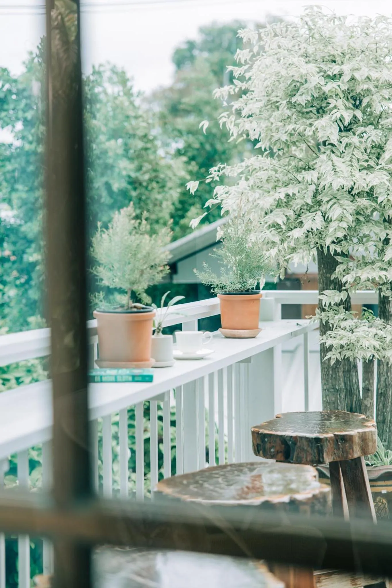 Patio in Banya BnB ที่พักบ้านย่าบีแอนด์บี เมืองประจวบฯ