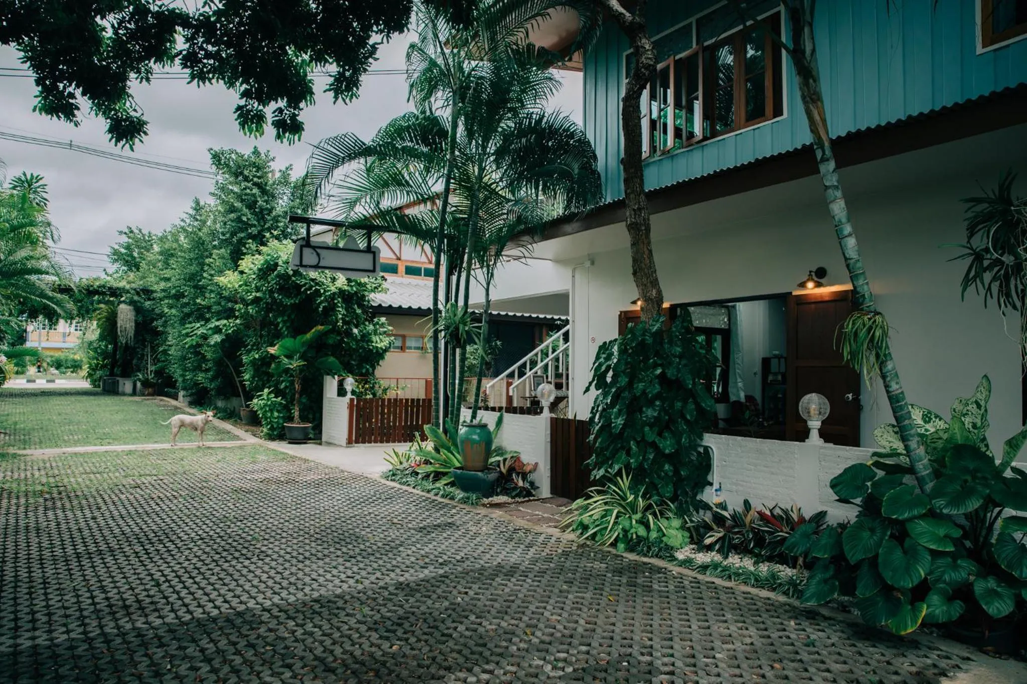 Facade/entrance in Banya BnB ที่พักบ้านย่าบีแอนด์บี เมืองประจวบฯ