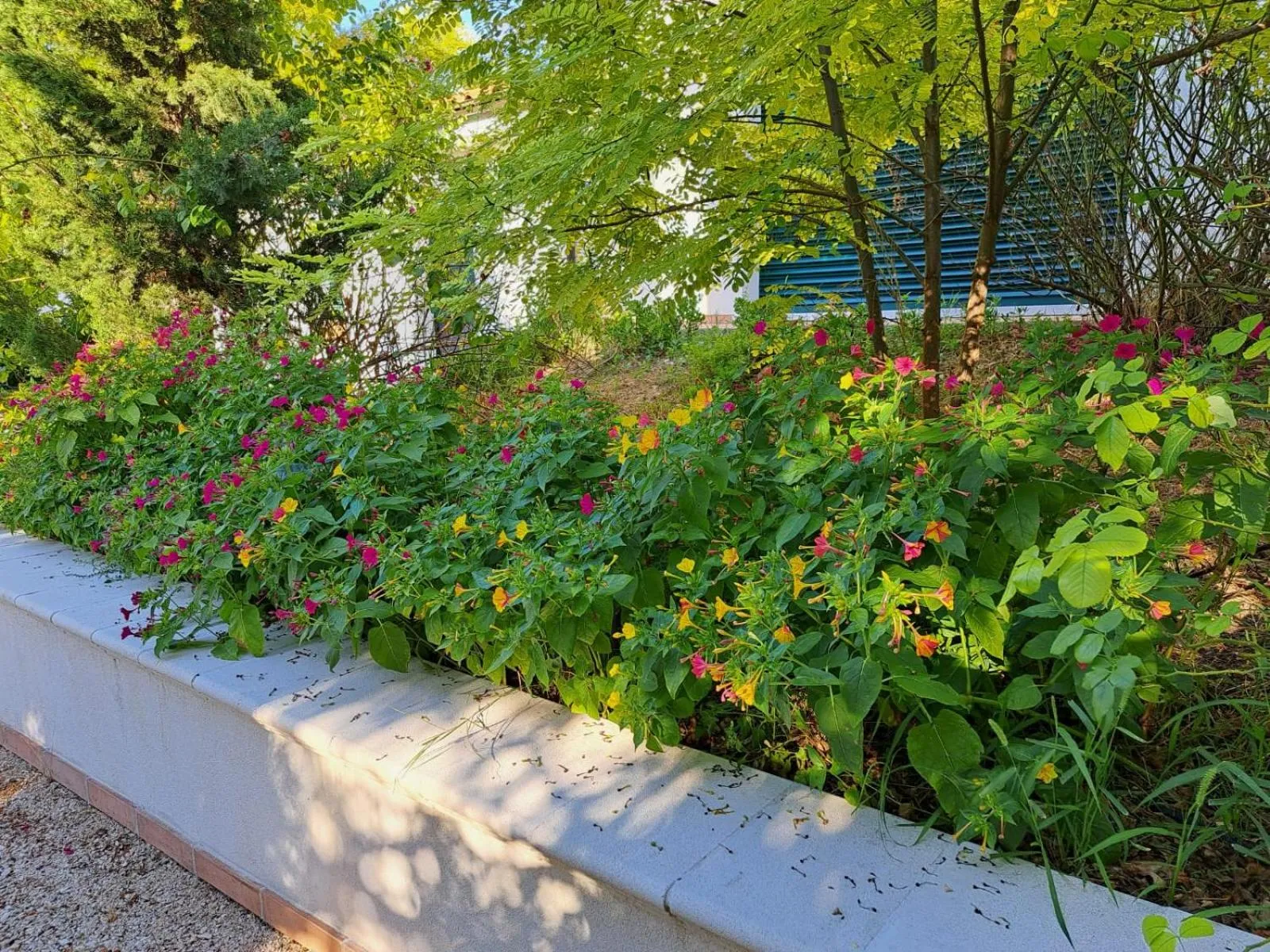Garden view in La Casa nel Verde