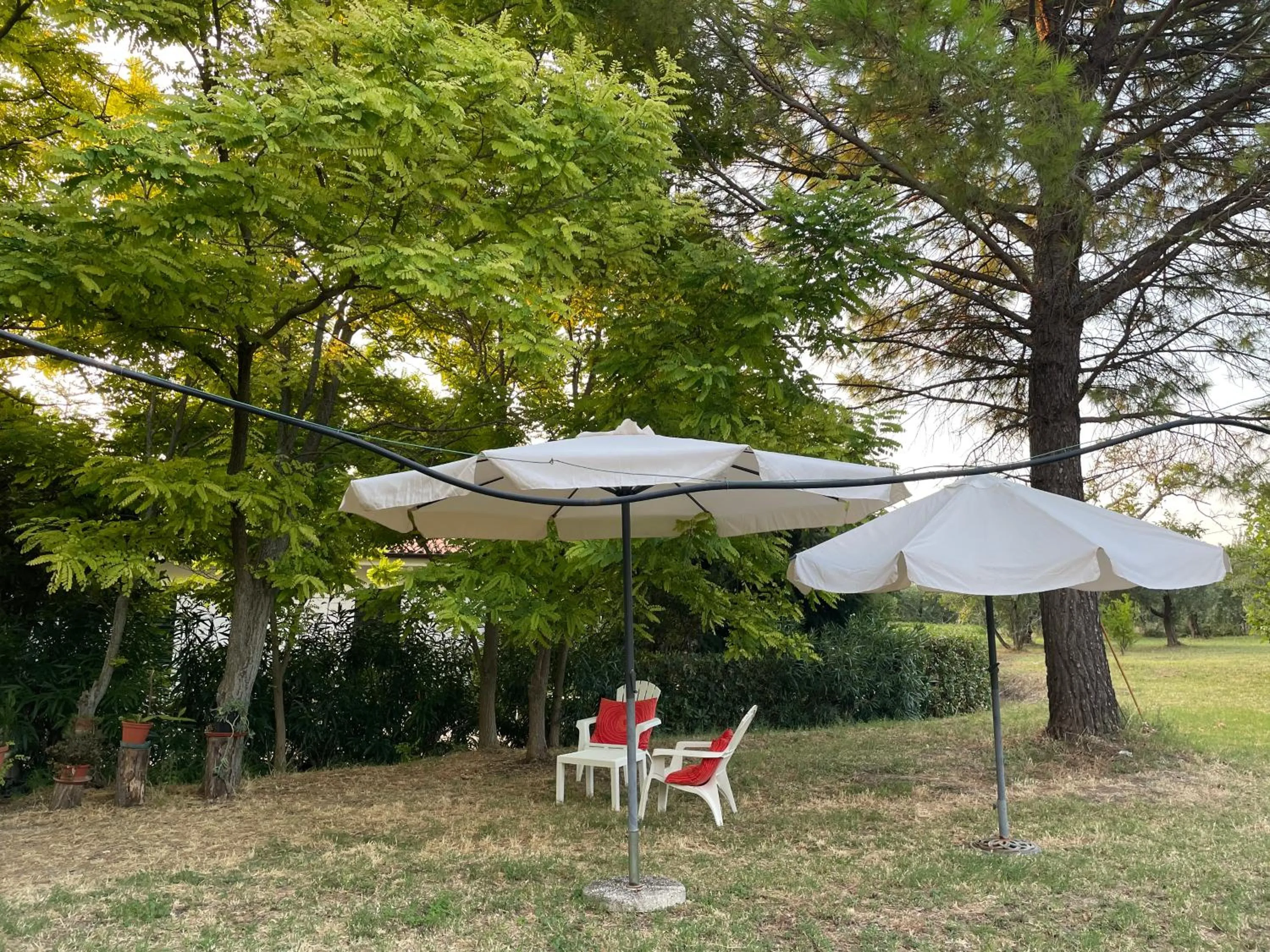 Garden view in La Casa nel Verde